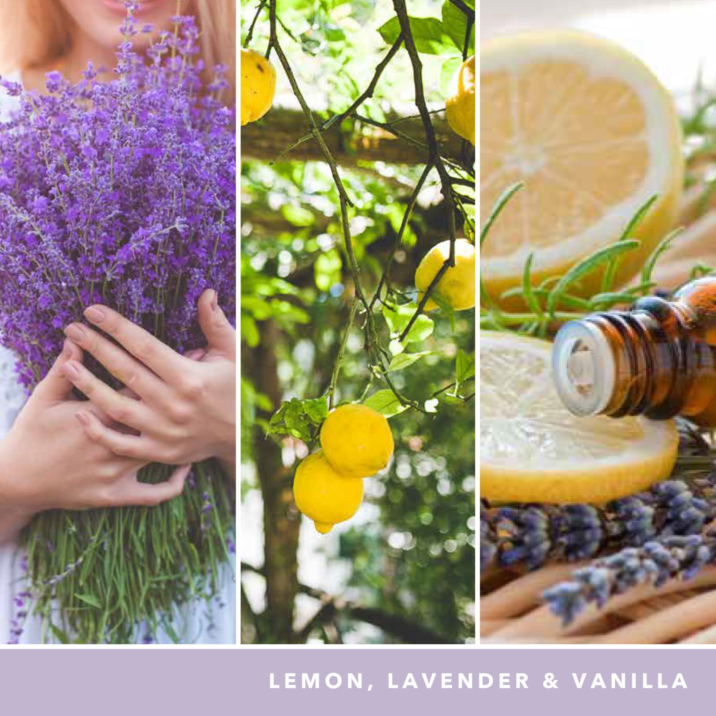 Yankee Candle Signature Lemon Lavender Medium Jar 368g thumbnail 3