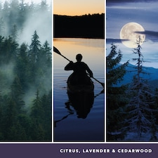 Yankee Candle Signature Midsummer Night Large Jar 567g thumbnail 3