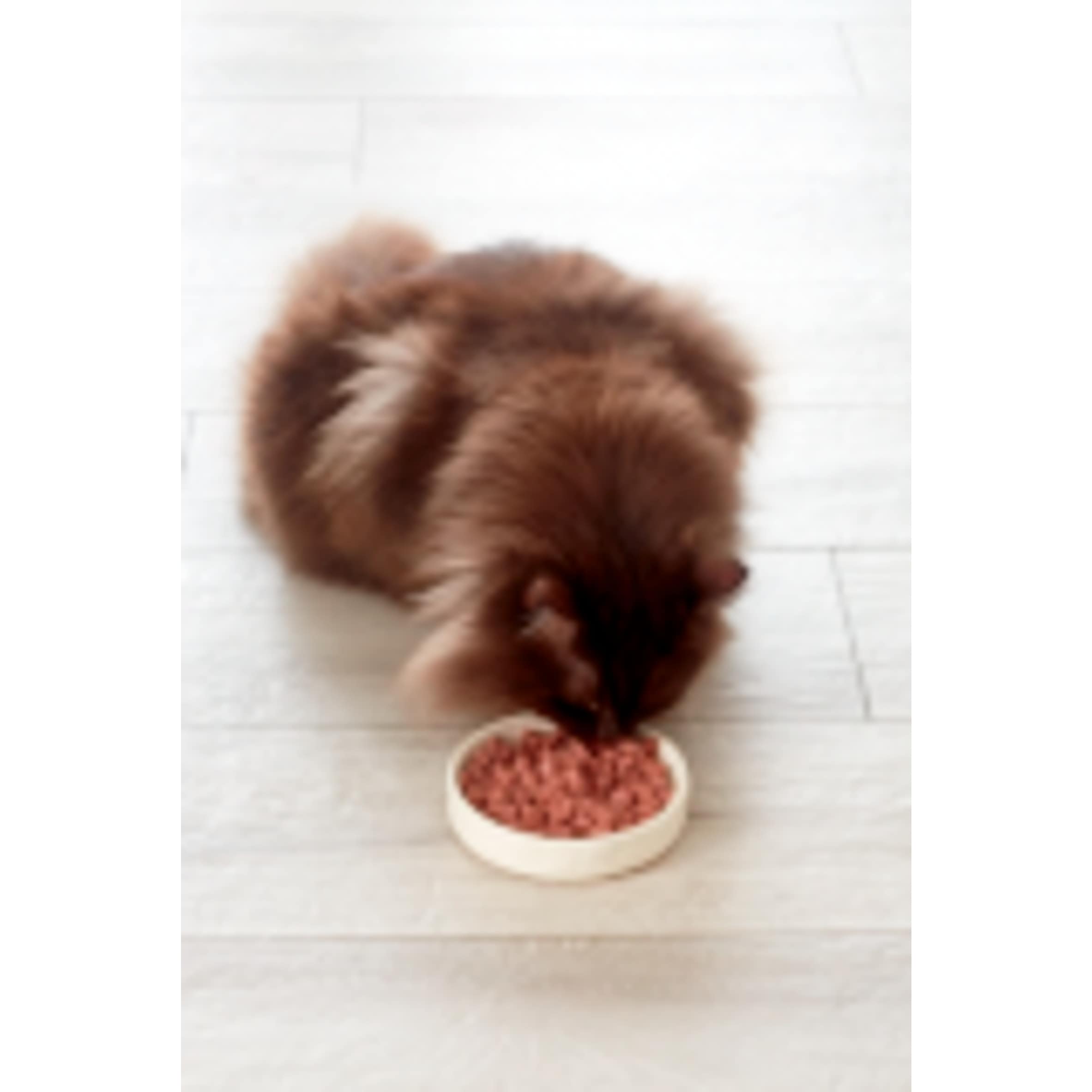 Freshpet Grilled Turkey Fresh Cat Food 400g thumbnail 5