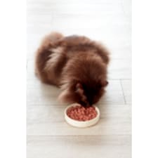 Freshpet Grilled Turkey Recipe Cat Food 400g thumbnail 5