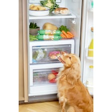 Freshpet Small Dog Chicken & Turkey Recipe with Pumpkin & Peas Roll 400g thumbnail 5