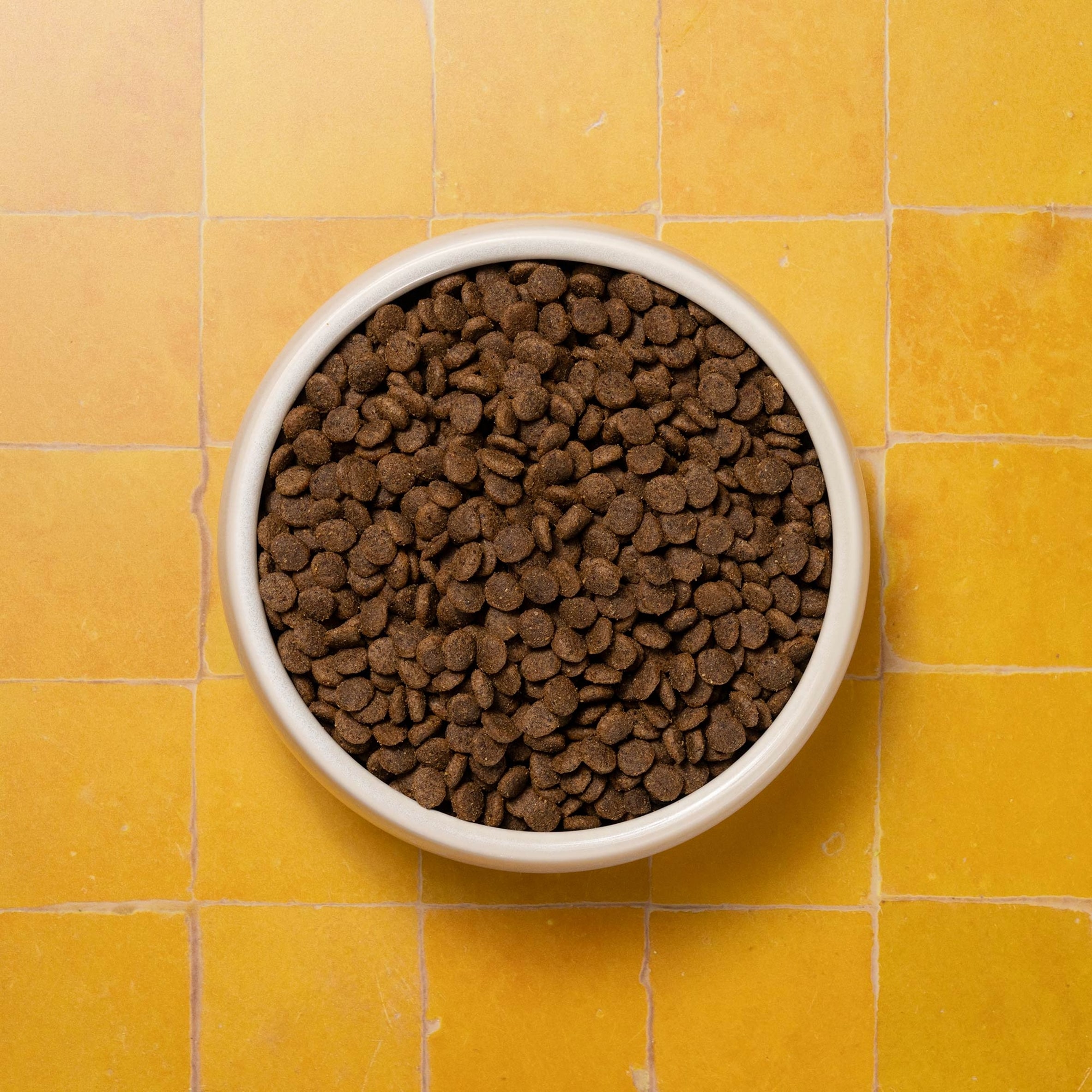 Pooch & Mutt Small Dog Complete Dry Food 1.5kg thumbnail 4