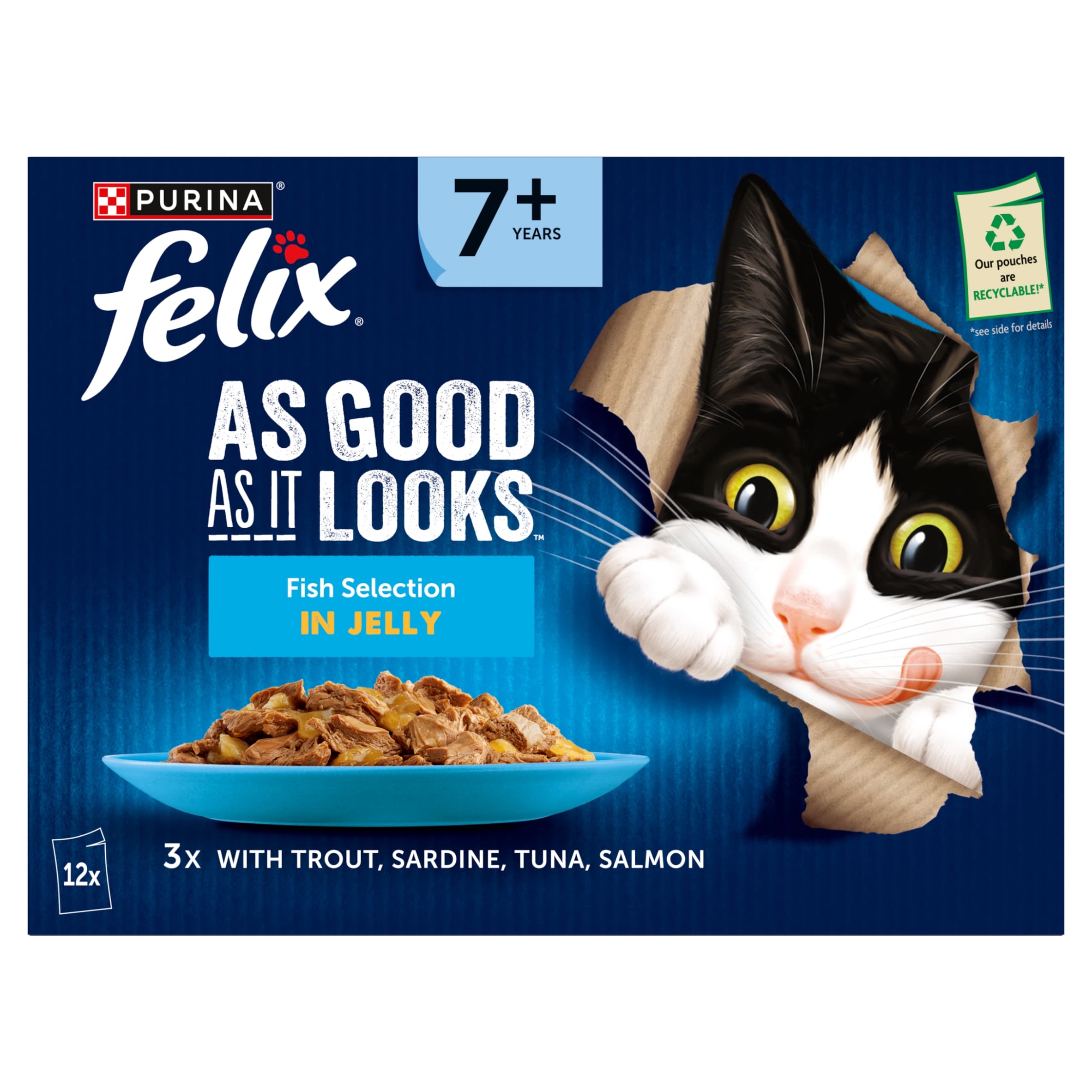 Felix As Good As it Looks Senior 7+ Fish in Jelly Wet Cat Food 12x85g thumbnail 2