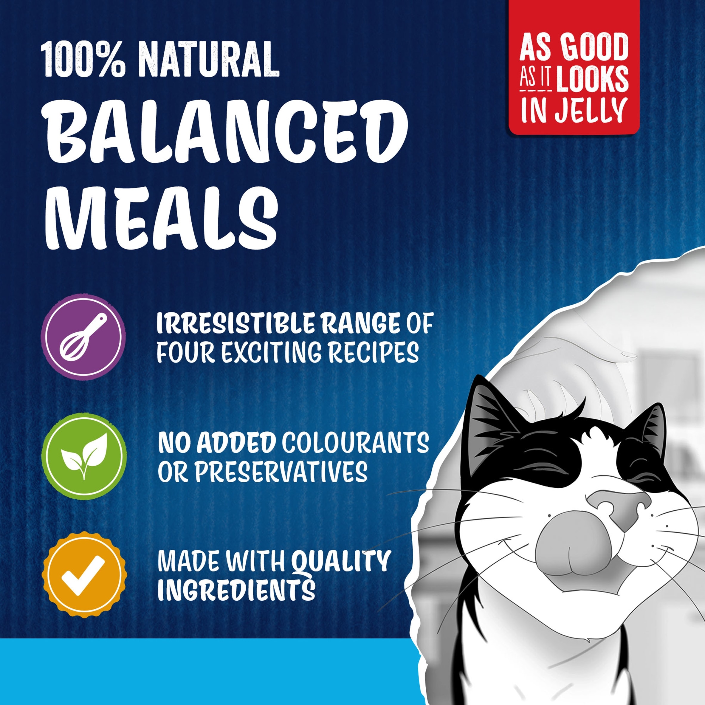 Felix As Good As it Looks Senior 7+ Fish in Jelly Wet Cat Food 12x85g thumbnail 4