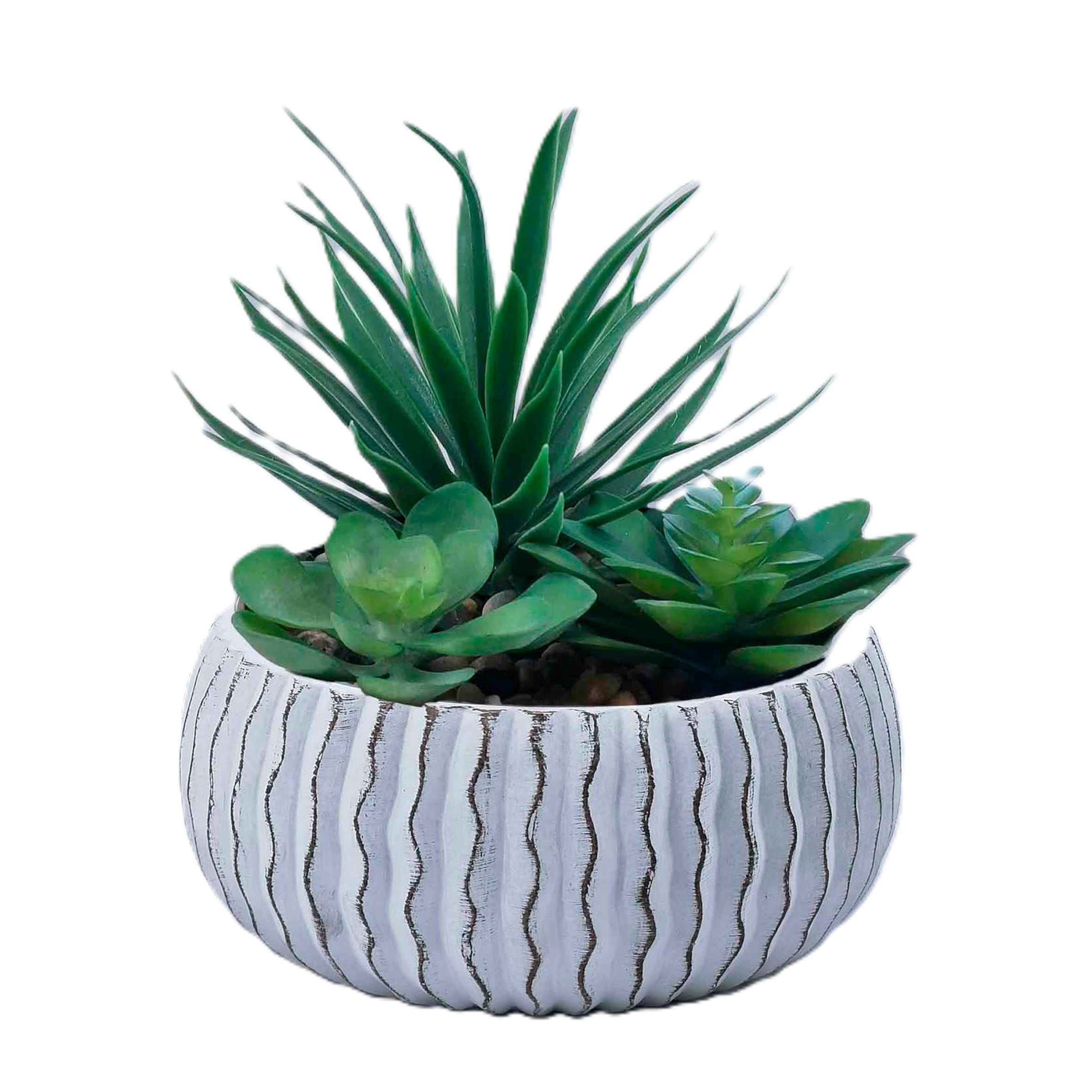 Bayswood Succulent Garden In Ceramic Pot