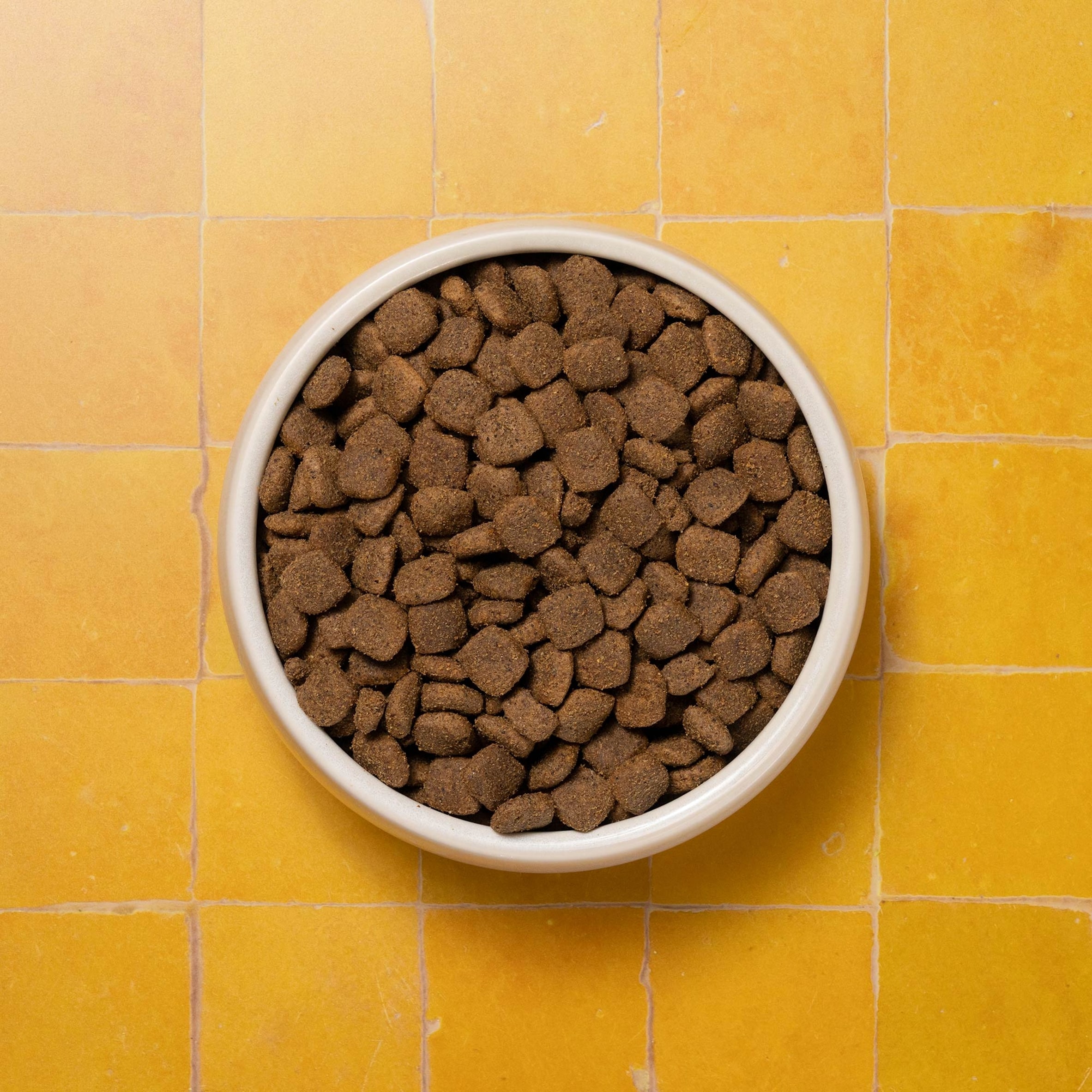 Pooch & Mutt Adult Chicken & Superfoods Complete Dry Dog Food 1.5Kg. thumbnail 4