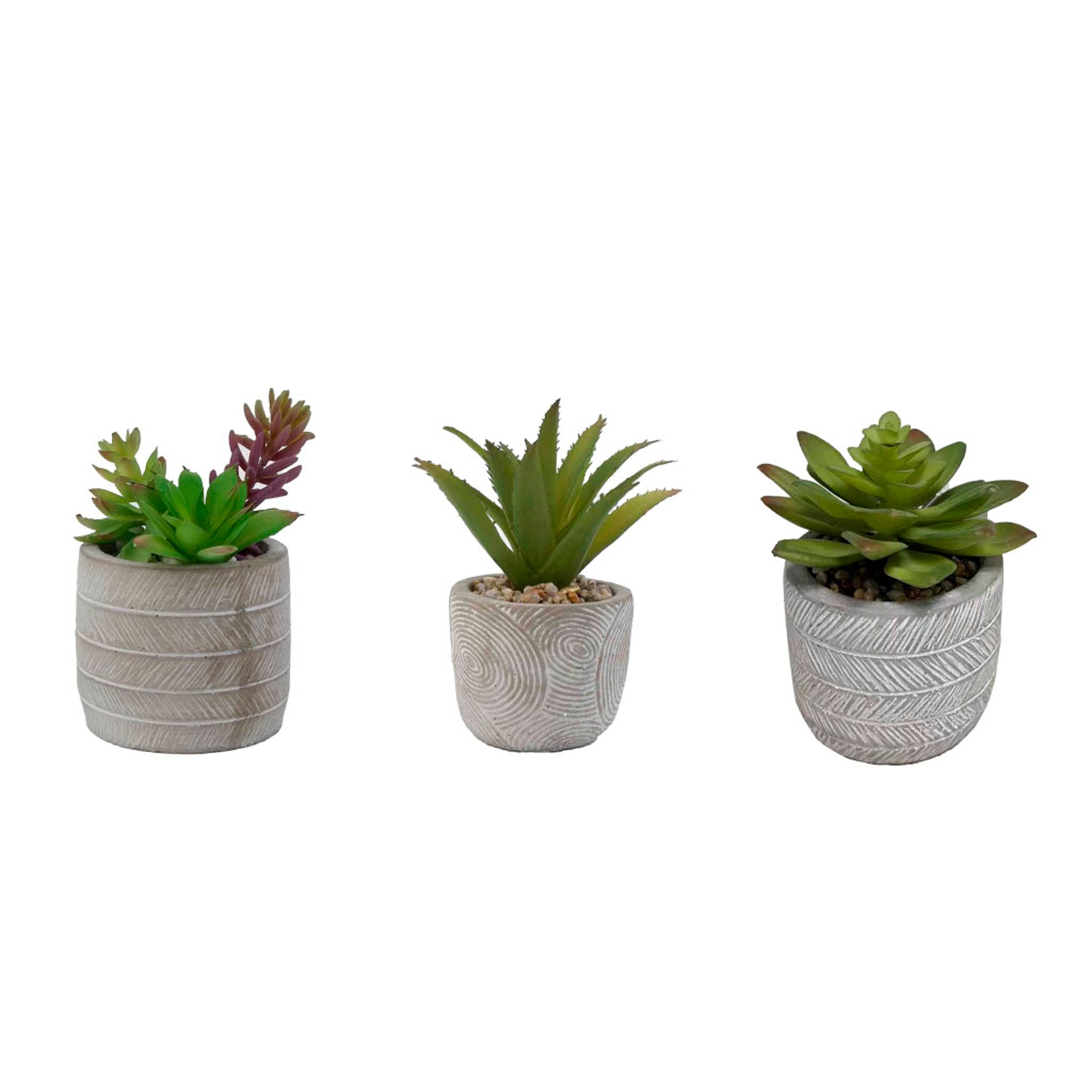 Bayswood Artificial Succulent In Ceramic Pot Assorted