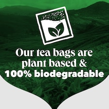PG Tips Original Black Tea 160 Tea Bags 464g thumbnail 4