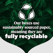 PG Tips Original Black Tea 160 Tea Bags 464g thumbnail 5