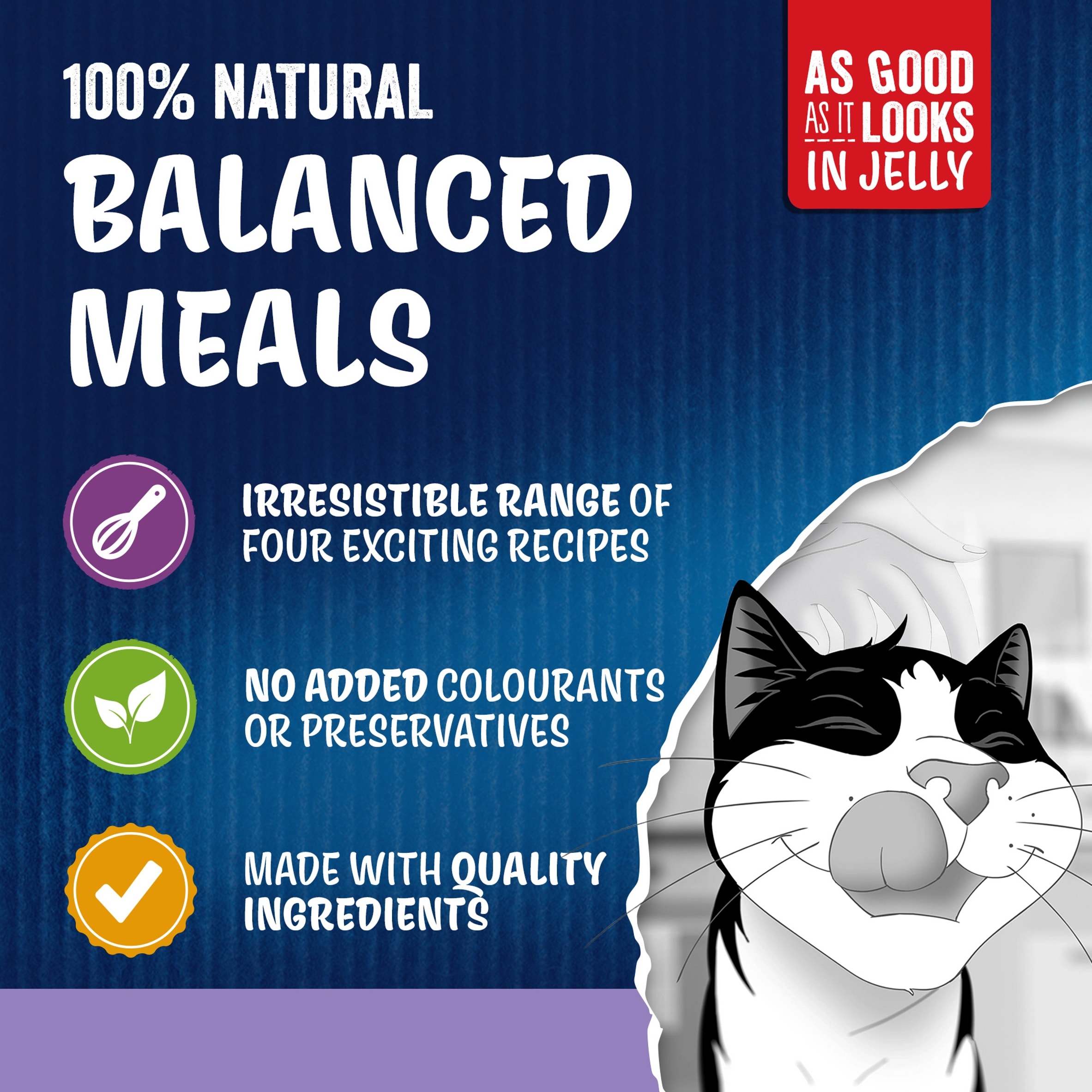 Felix As Good As It Looks Favourites Selection in Jelly Wet Cat Food 40x85g thumbnail 4