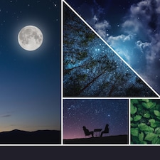 Yankee Signature Tumbler Midsummer Night Candle 122g thumbnail 2