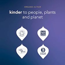 Pukka Organic Night Time Herbal Tea With Chamomile 40 Sleep Tea Bags 40g thumbnail 5