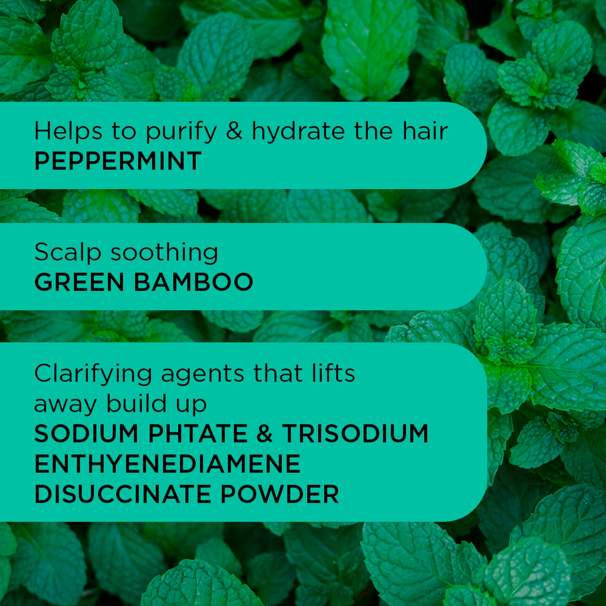 Noughty Detox Dynamo Clarifying Shampoo 250ml thumbnail 3