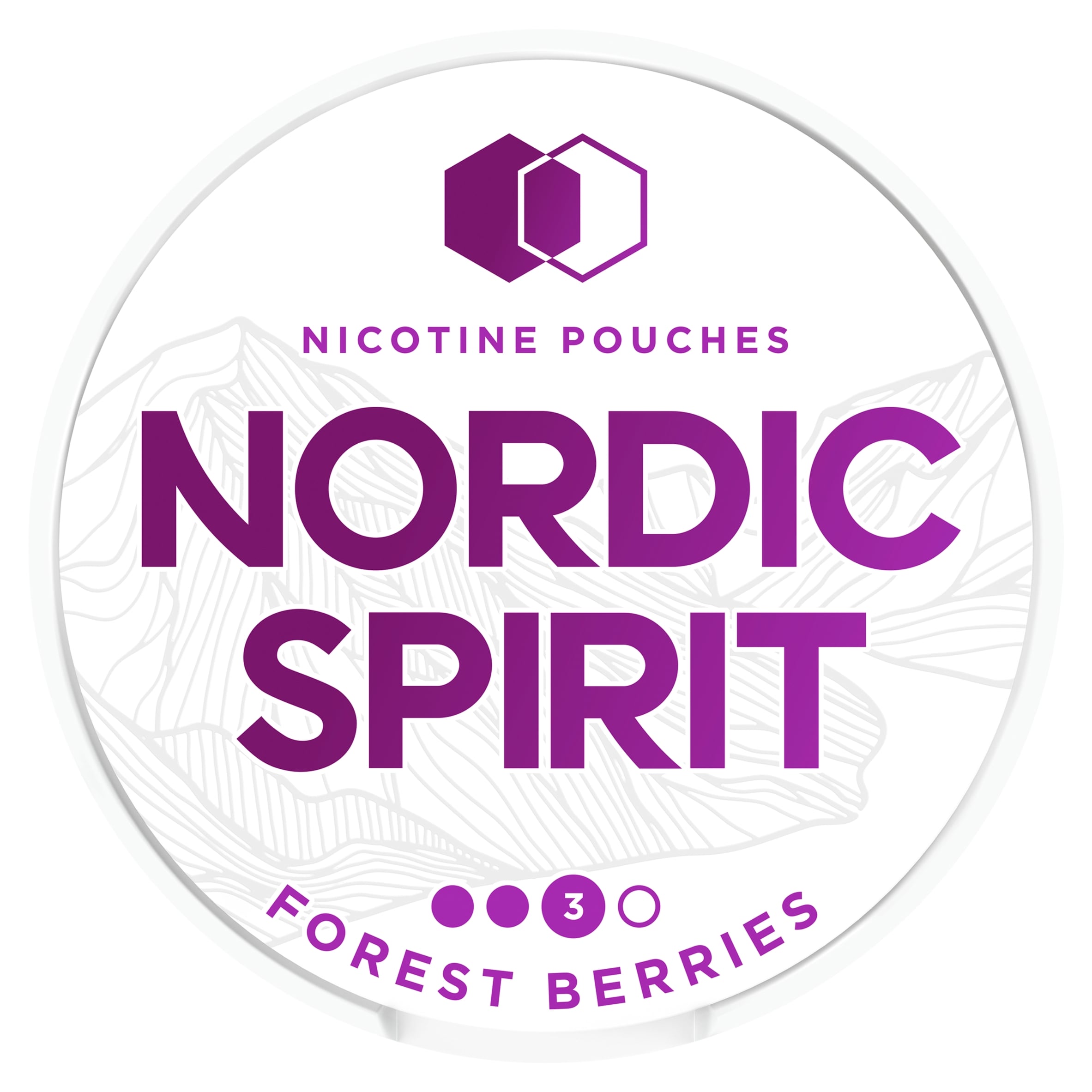 Nordic Spirit Forest Berries Tobacco Free Nicotine 9mg Pouches Strong 20 Pack 14g