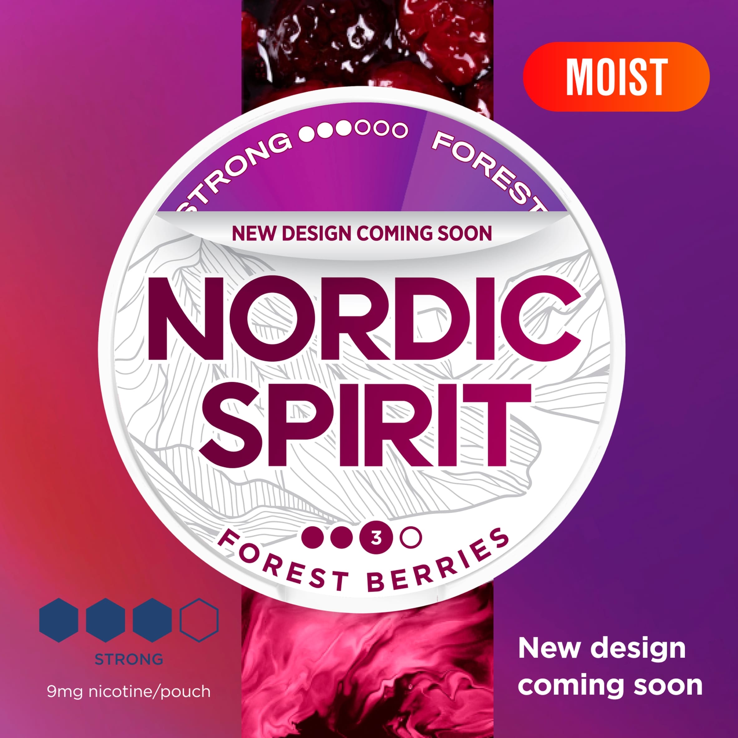 Nordic Spirit Forest Berries Tobacco Free Nicotine 9mg Pouches Strong 20 Pack 14g thumbnail 2