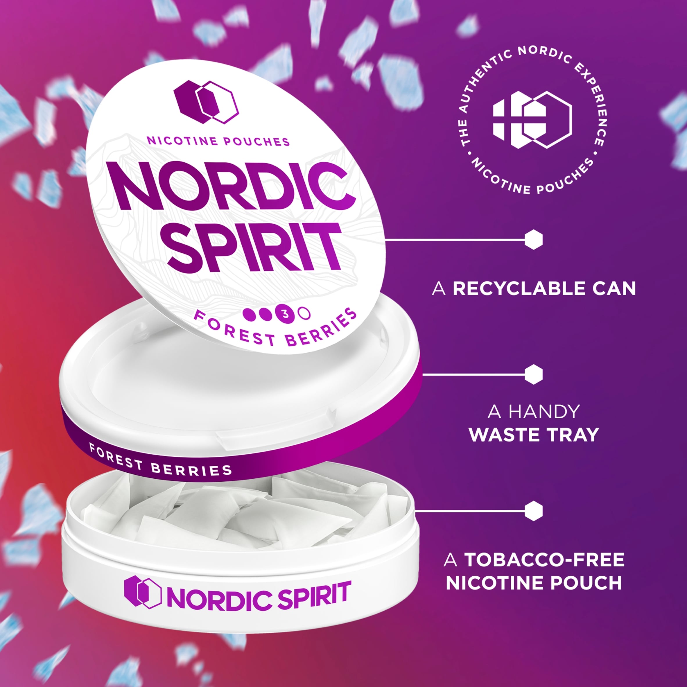 Nordic Spirit Forest Berries Tobacco Free Nicotine 9mg Pouches Strong 20 Pack 14g thumbnail 4