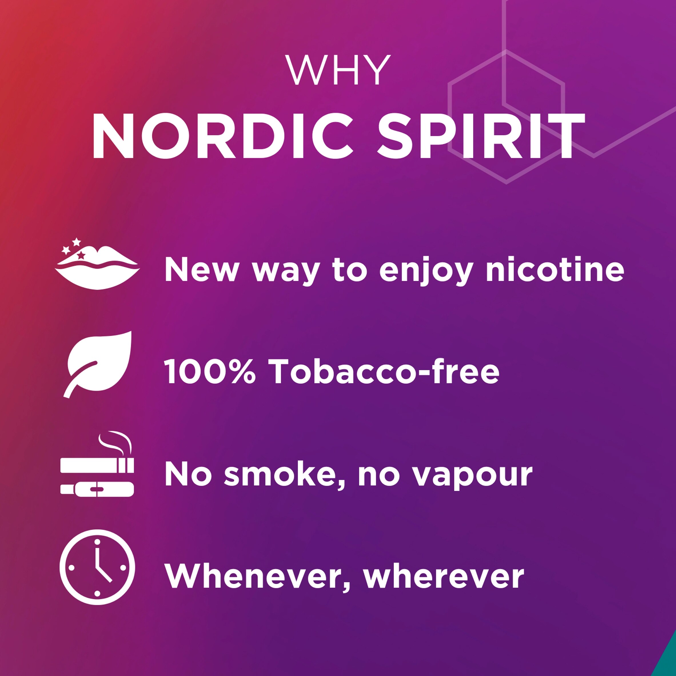 Nordic Spirit Forest Berries Tobacco Free Nicotine 9mg Pouches Strong 20 Pack 14g thumbnail 5