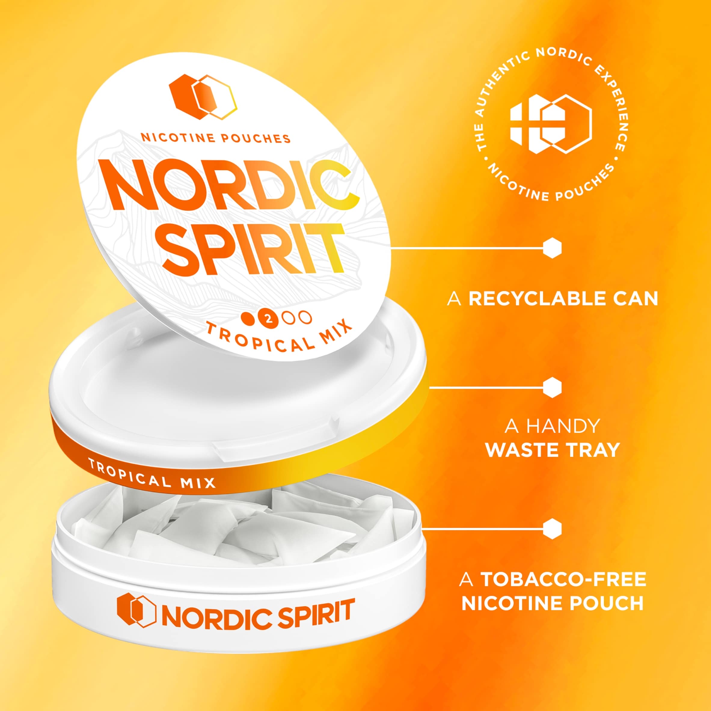 Nordic Spirit Tropical Mix Tobacco Free Nicotine Pouches Regular 20 Pack 6mg 14g thumbnail 4