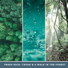 Yankee Classic Bayside Cedar Wax Melt 22g thumbnail 2