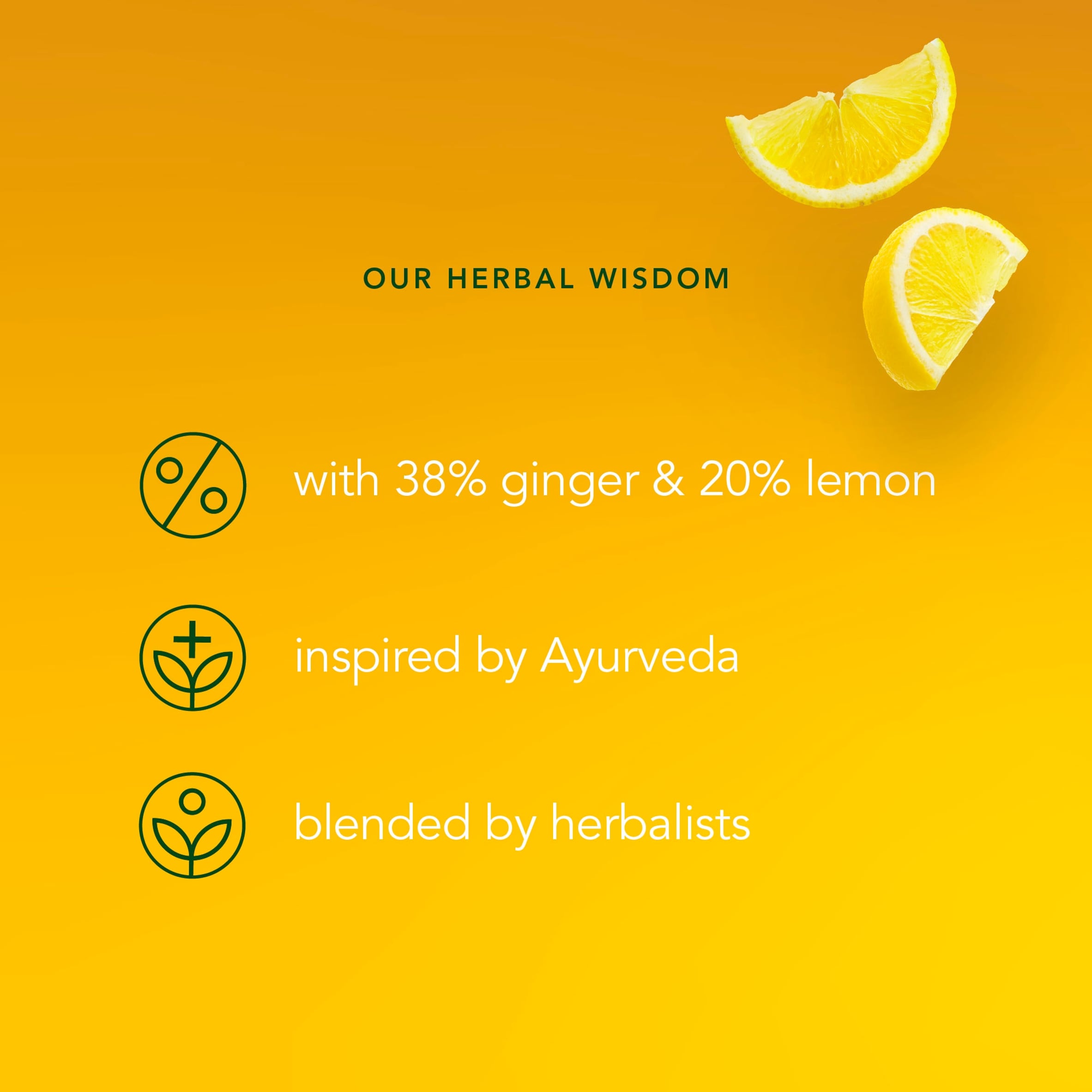 Pukka Organic Lemon, Ginger & a touch of Manuka Honey 40 Immunity Herbal Tea Bags 68g thumbnail 3