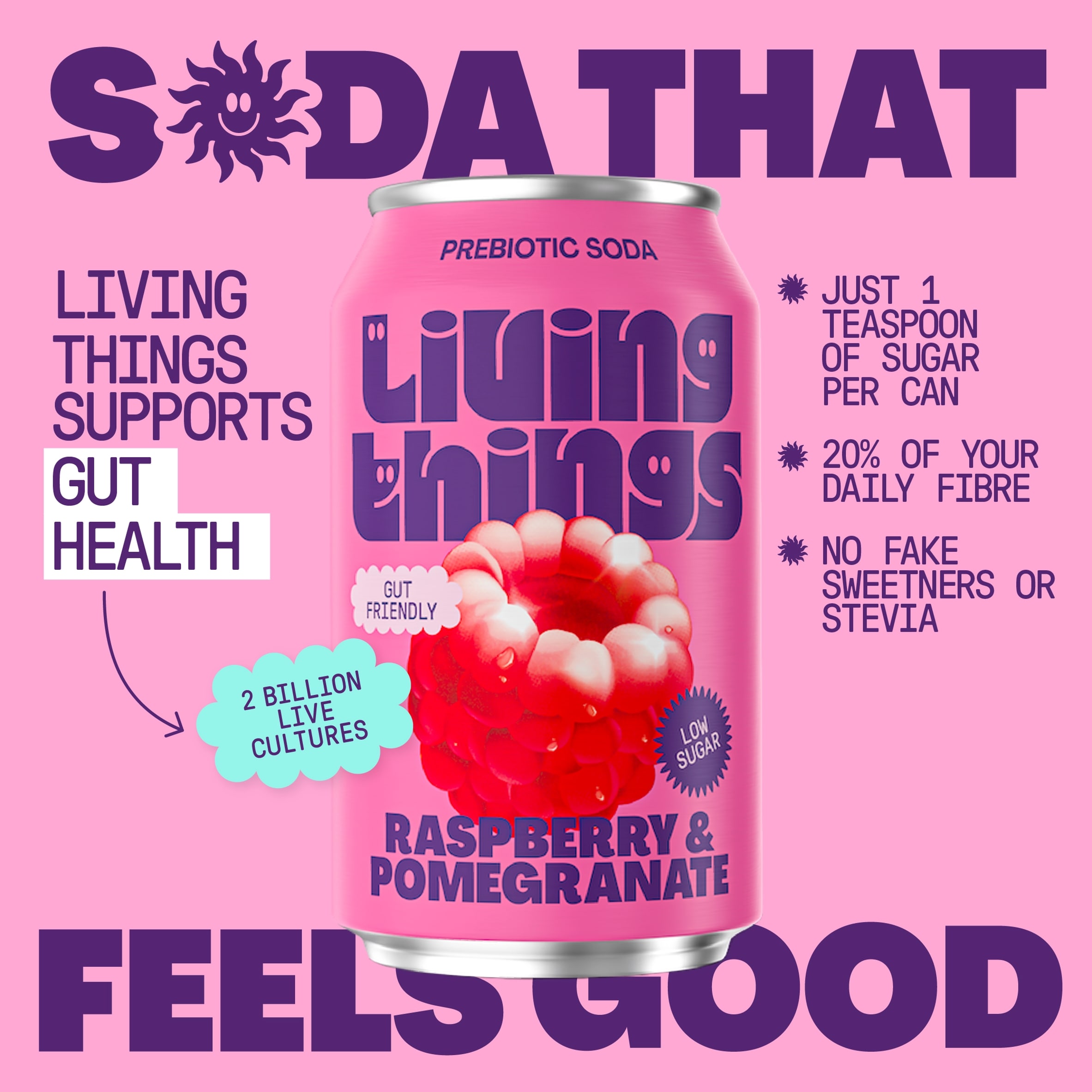 Living Things Raspberry & Pomegranate Soda 4x 330ml thumbnail 3