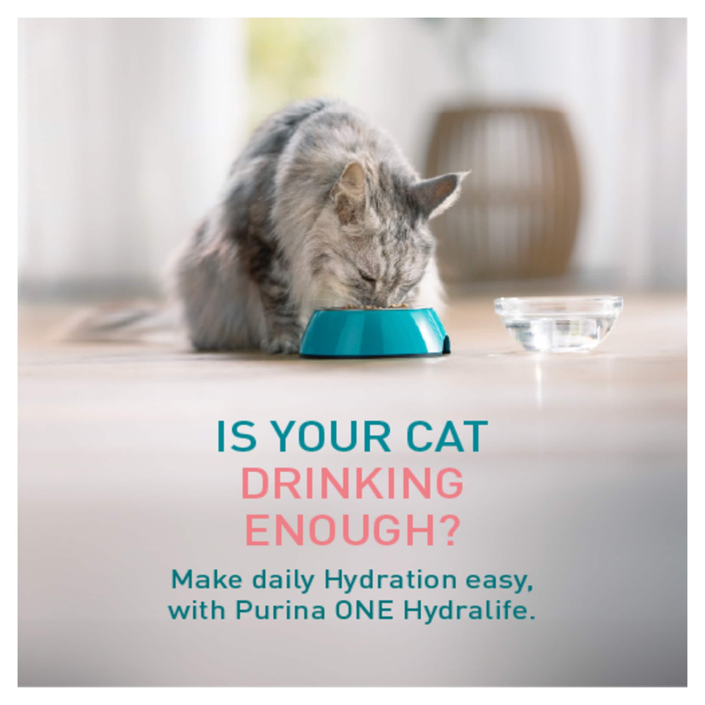 Purina ONE HYDRALIFE with Salmon Cat Compliment 6x50g thumbnail 4