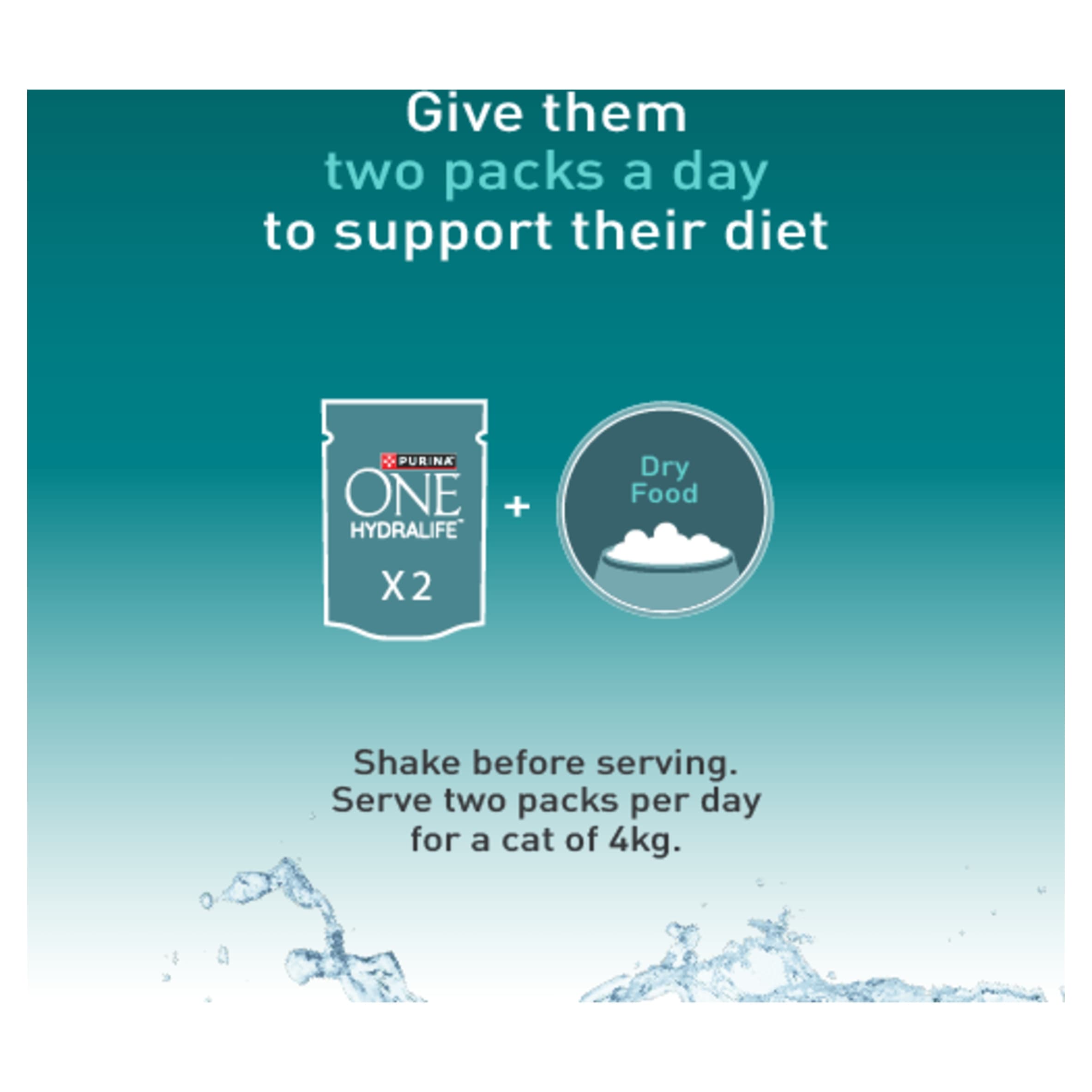 Purina ONE HYDRALIFE with Salmon Cat Compliment 6x50g thumbnail 7