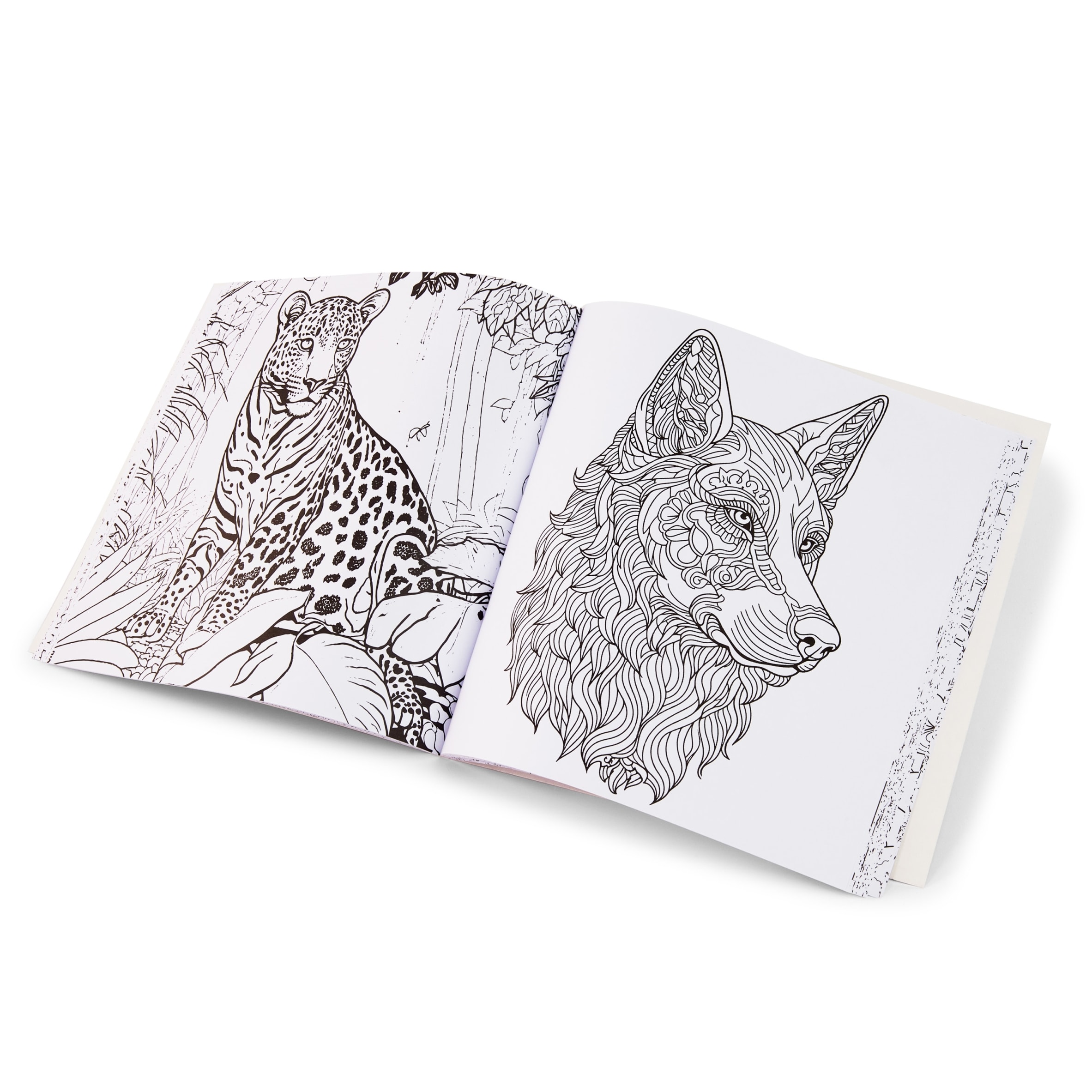 Artistry Animal Colouring Book thumbnail 2