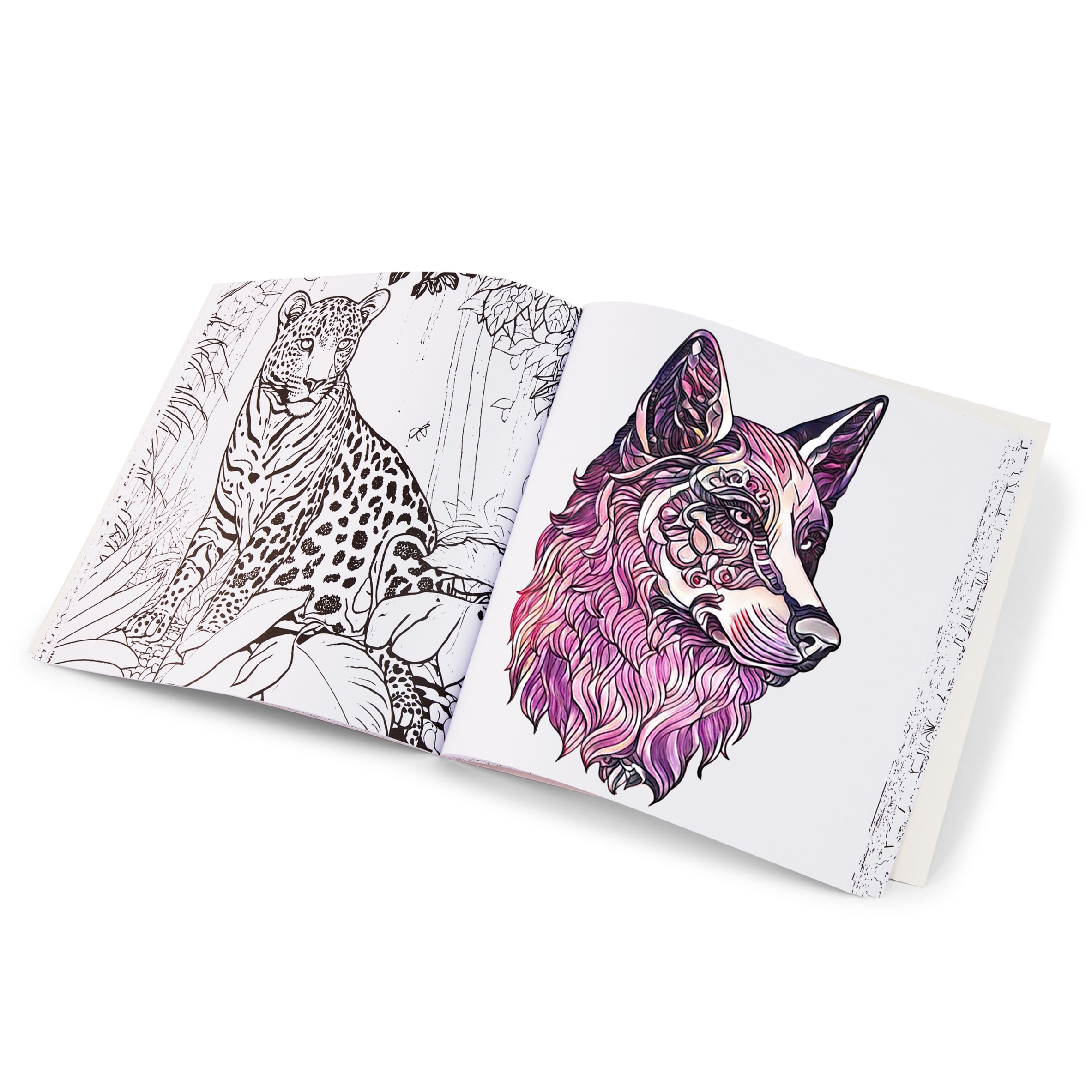 Artistry Animal Colouring Book thumbnail 3