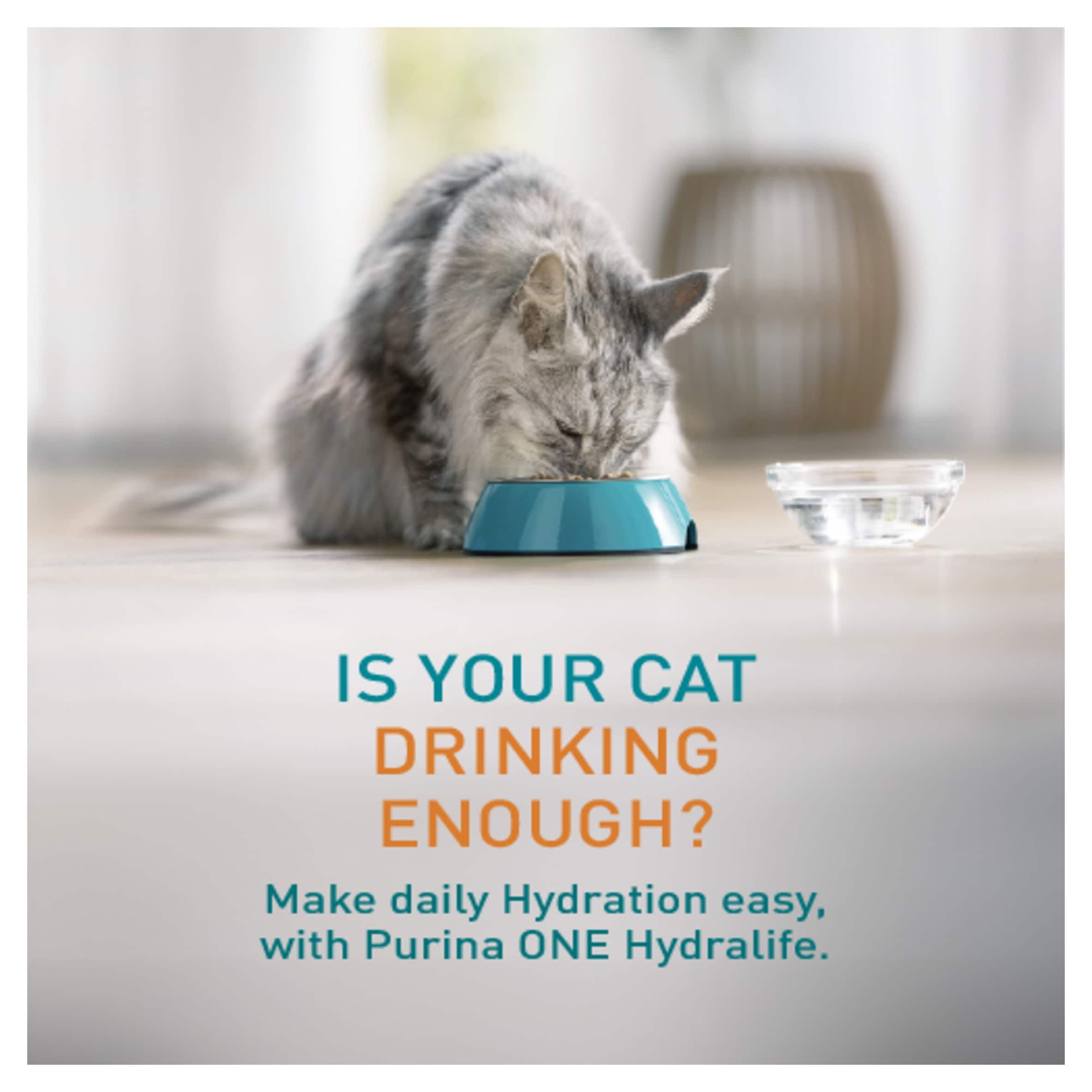 Purina ONE HYDRALIFE with Chicken Cat Compliment 6x50g thumbnail 2