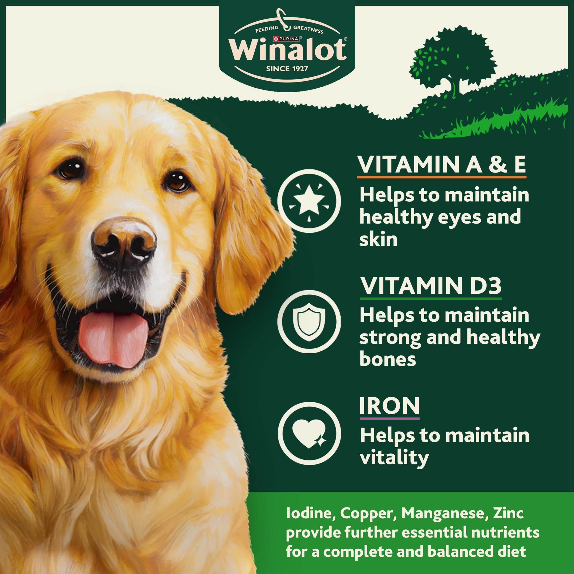 WINALOT® Classics Mixed in Jelly Wet Dog Food 6x400g thumbnail 4