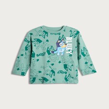 Bluey Pure Cotton Long Sleeved T-Shirt in Green thumbnail 4