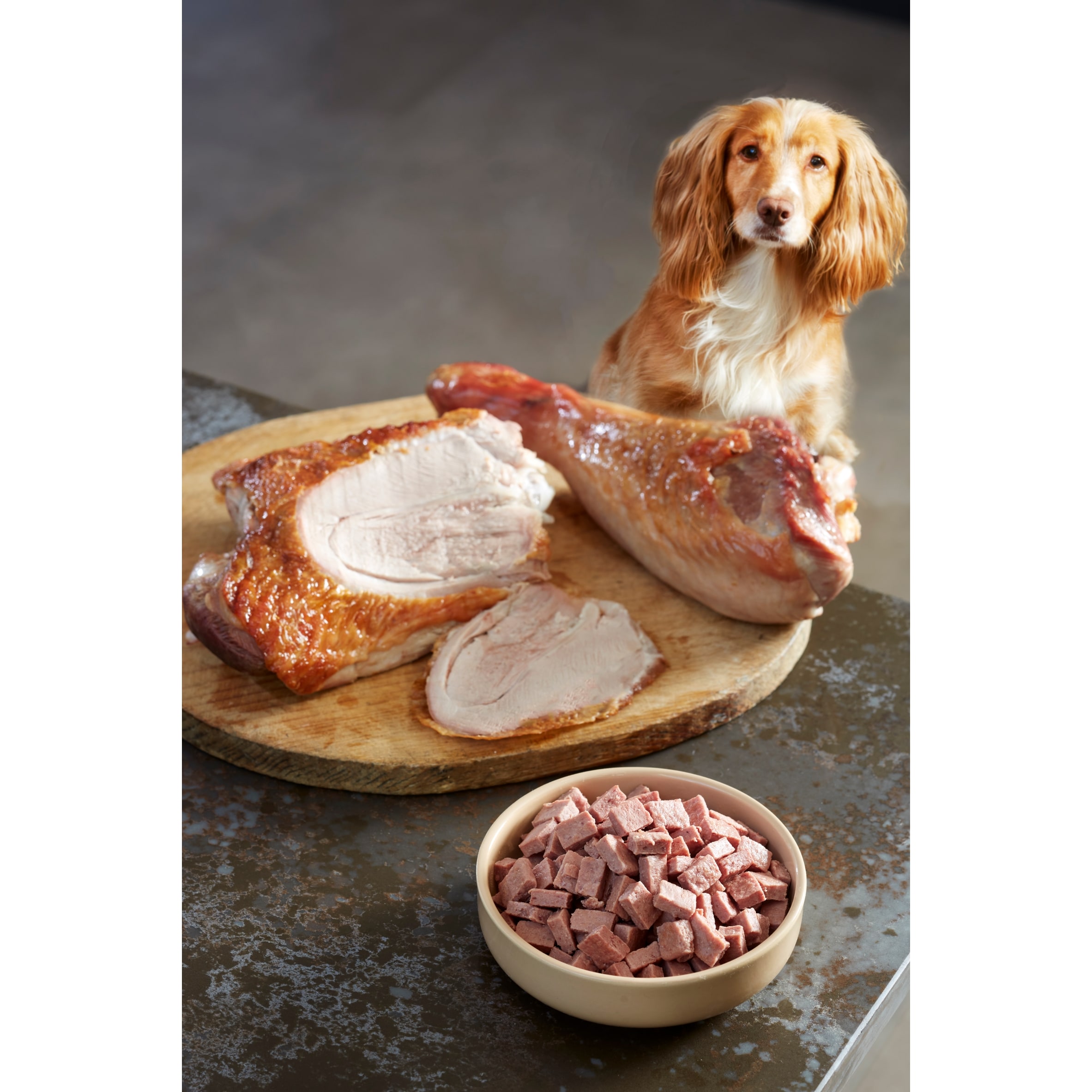 Freshpet Complete Nutrition Grain Free Turkey Fresh Dog Food 800g thumbnail 3