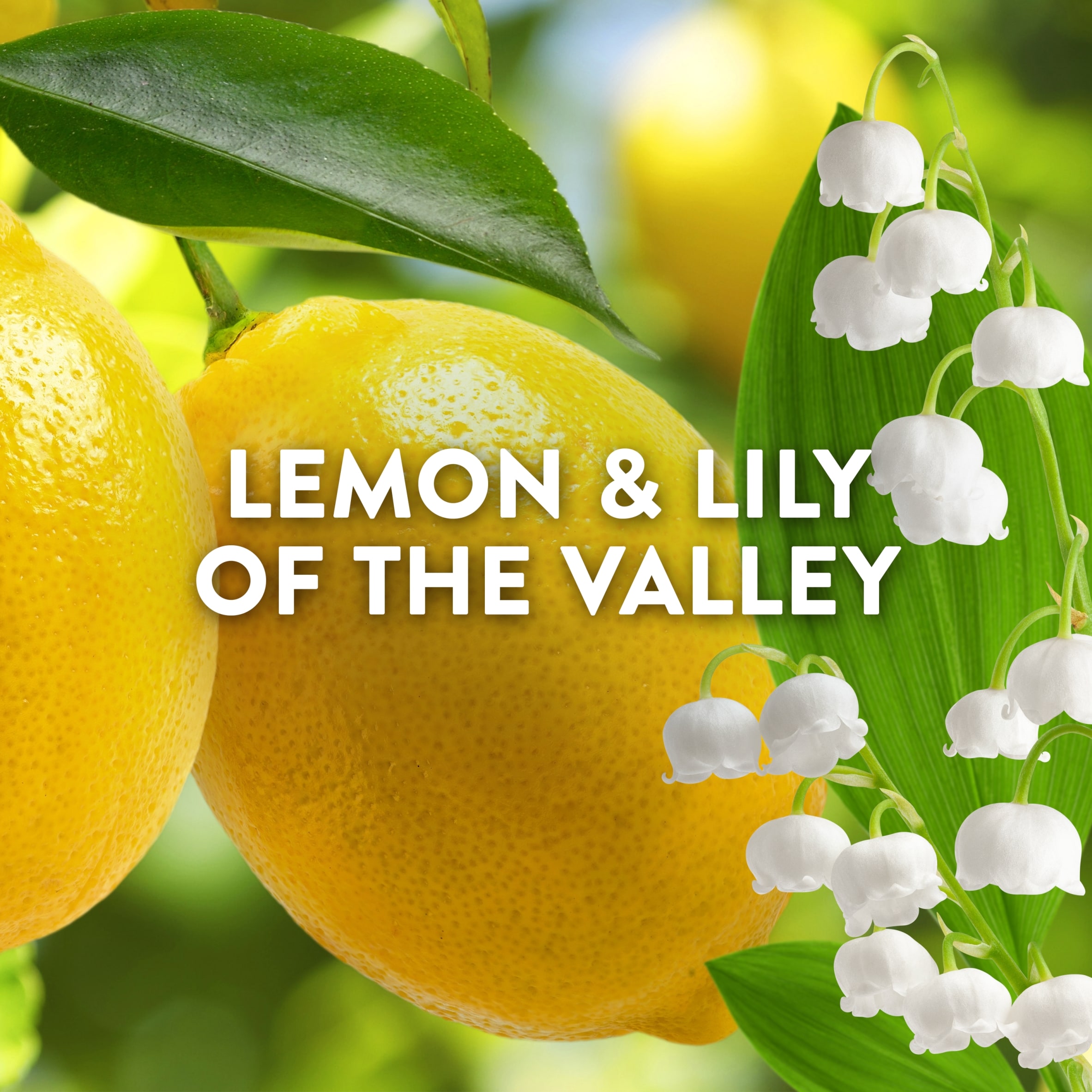 Lenor Outdoorable Fabric Conditioner Amalfi Lemon & Lily of the Valley 53w 742ml thumbnail 2