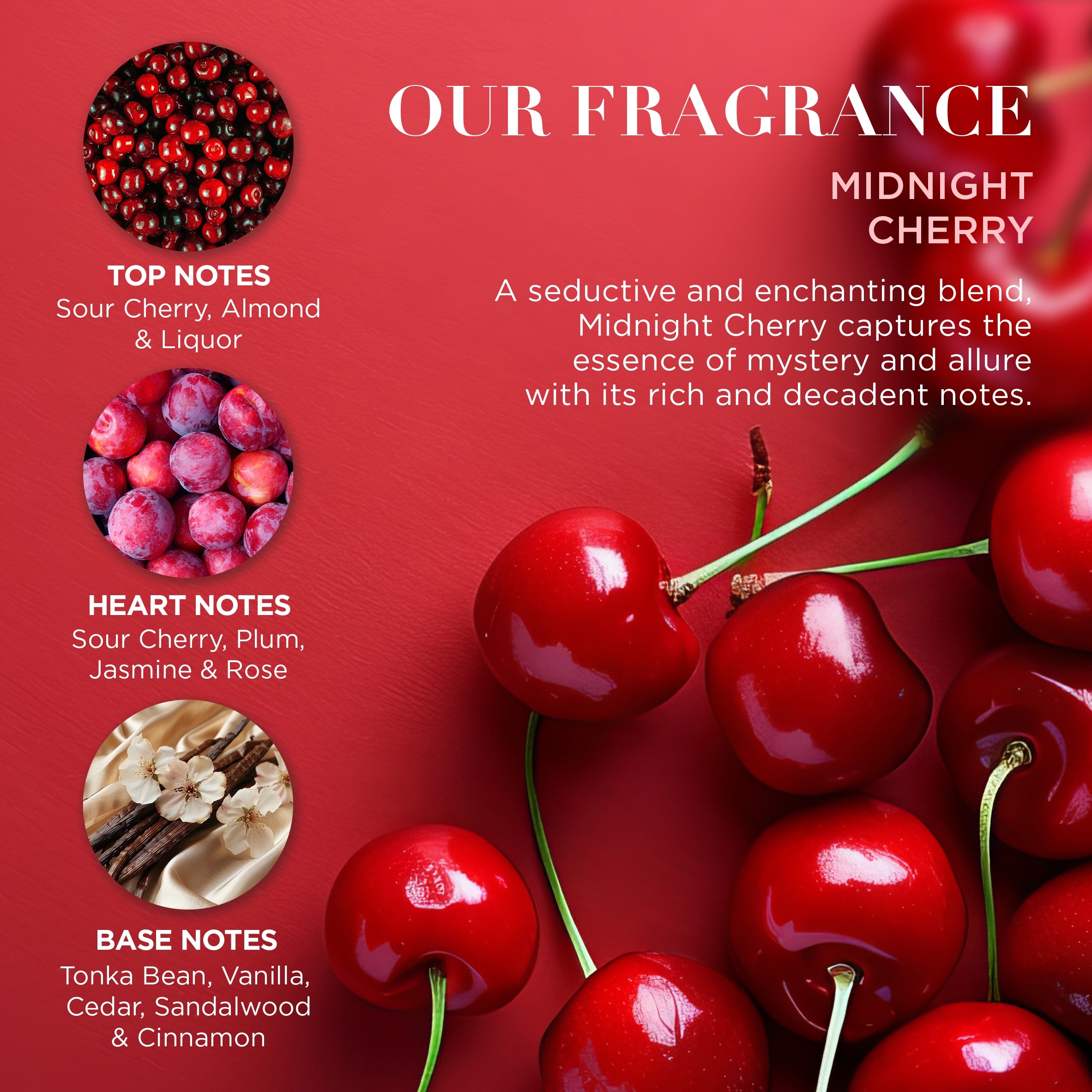 Baylis & Harding Midnight Cherry Travel Wash Bag Gift Set thumbnail 4