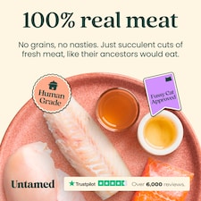 Untamed Fish Selection Box in Gravy Cat Food 6 x 75G thumbnail 3