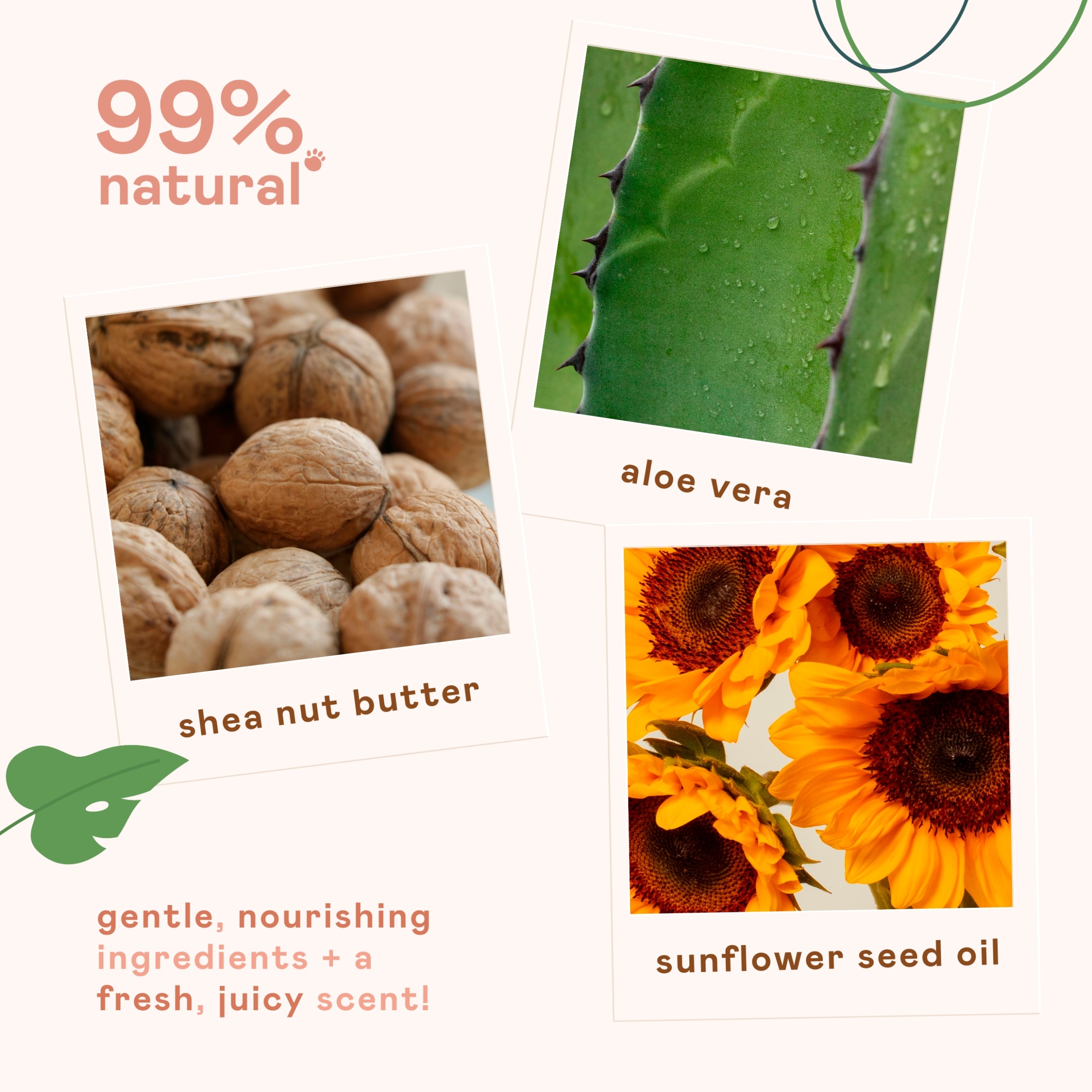 Nala's Kids Curl Moisturiser Tropical Blast 150ml thumbnail 4