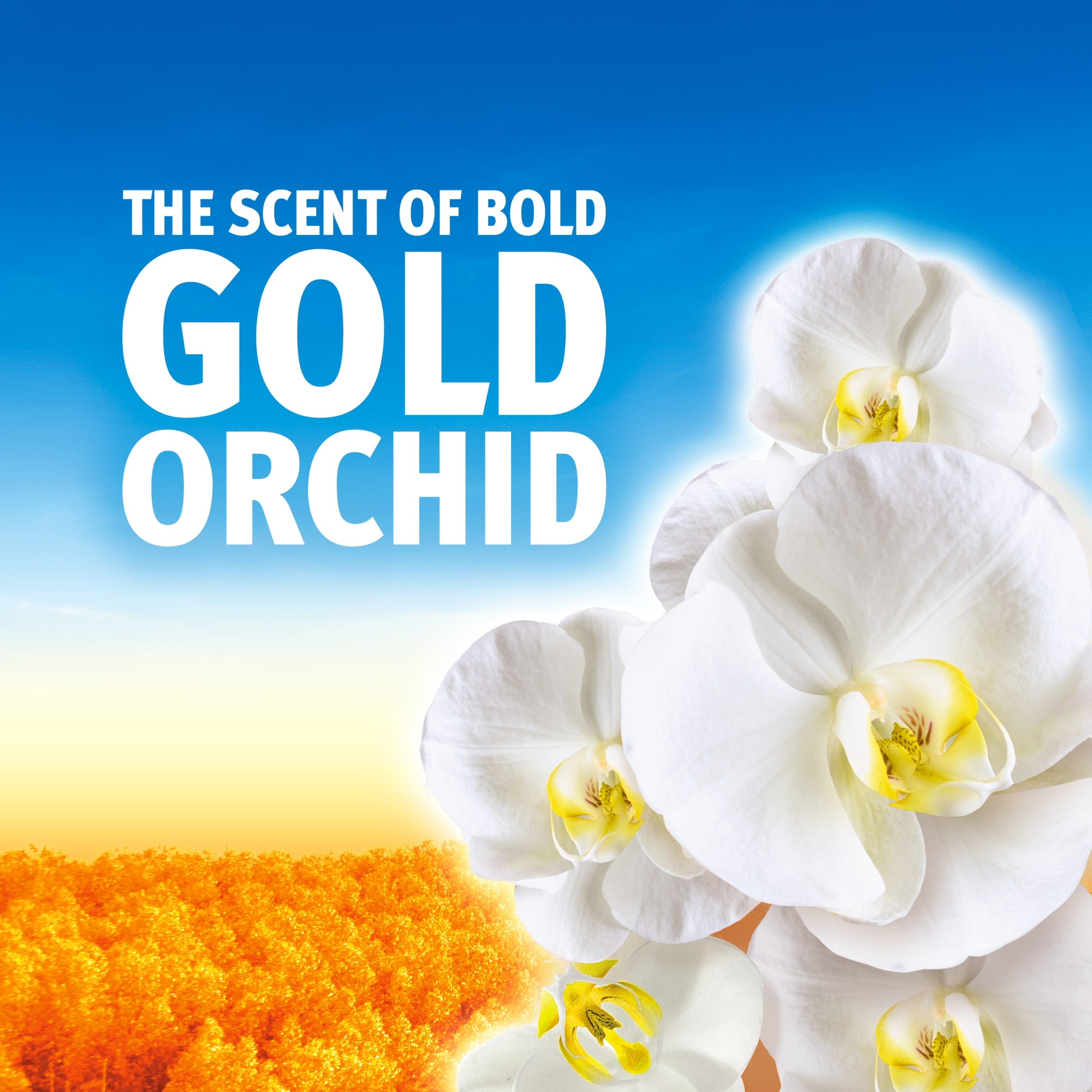 Bold Washing Liquid Gel Gold Orchid 40 Washes 1320ml thumbnail 3