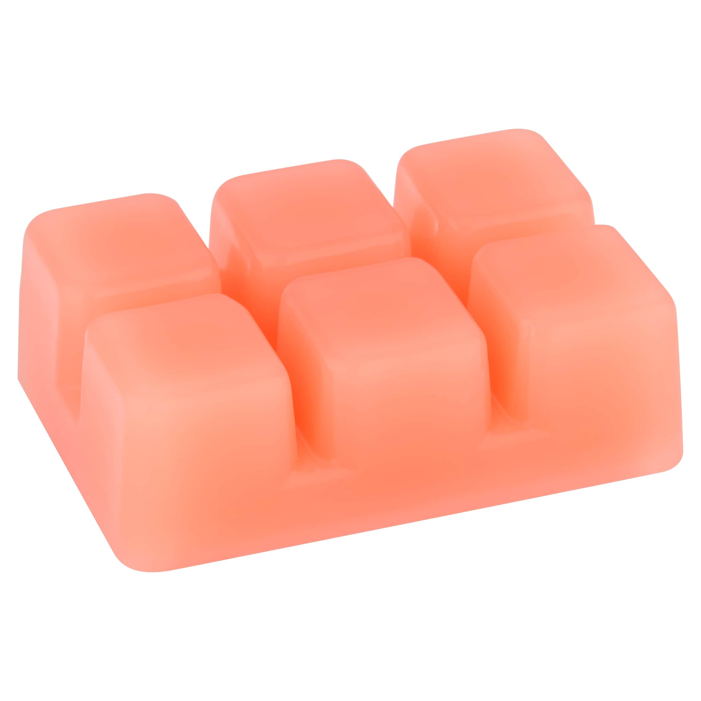 F&F Home Grapefruit Wax Melt Bar 60g thumbnail 2