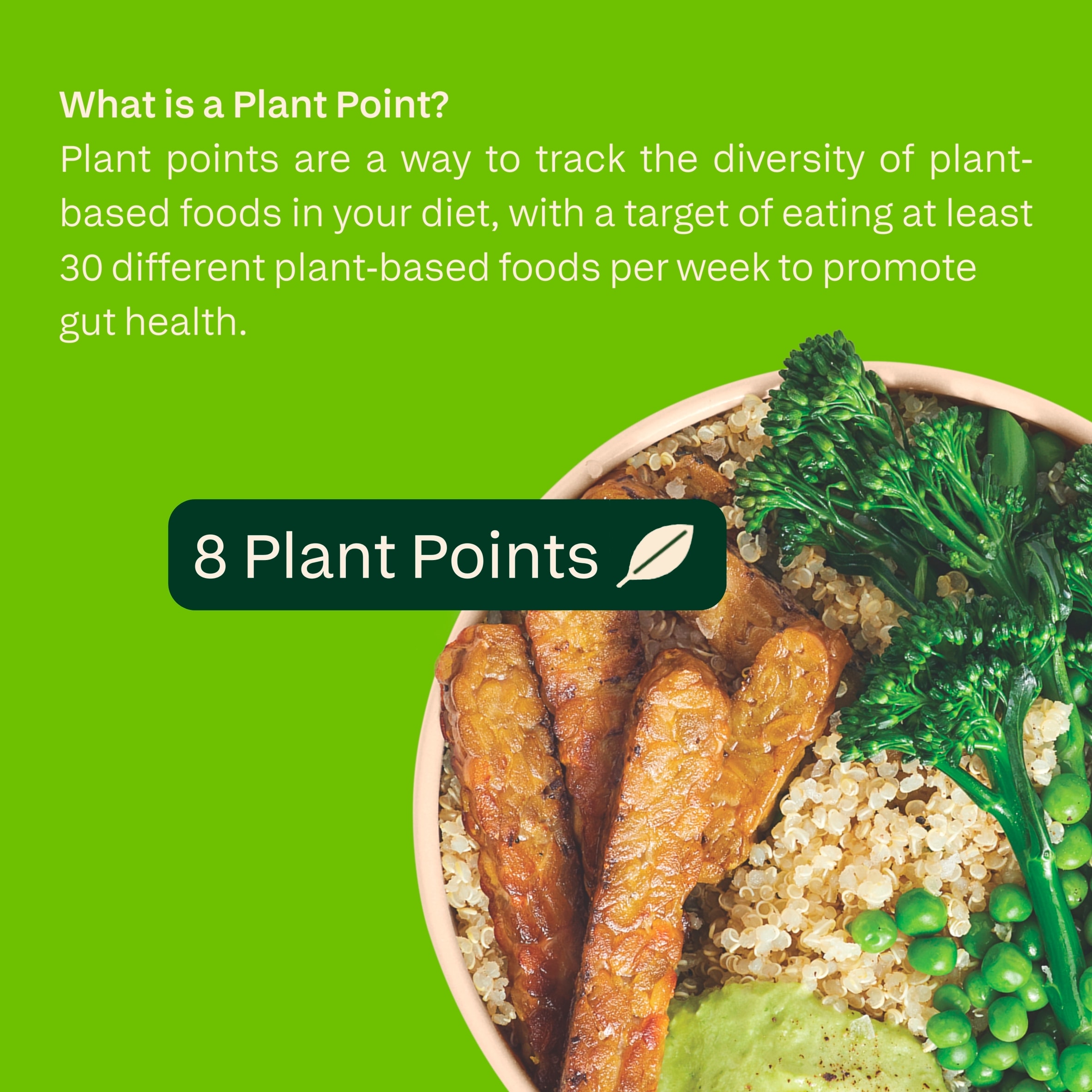 all plants Veggie Tempeh with pea and rosemary 180g thumbnail 4