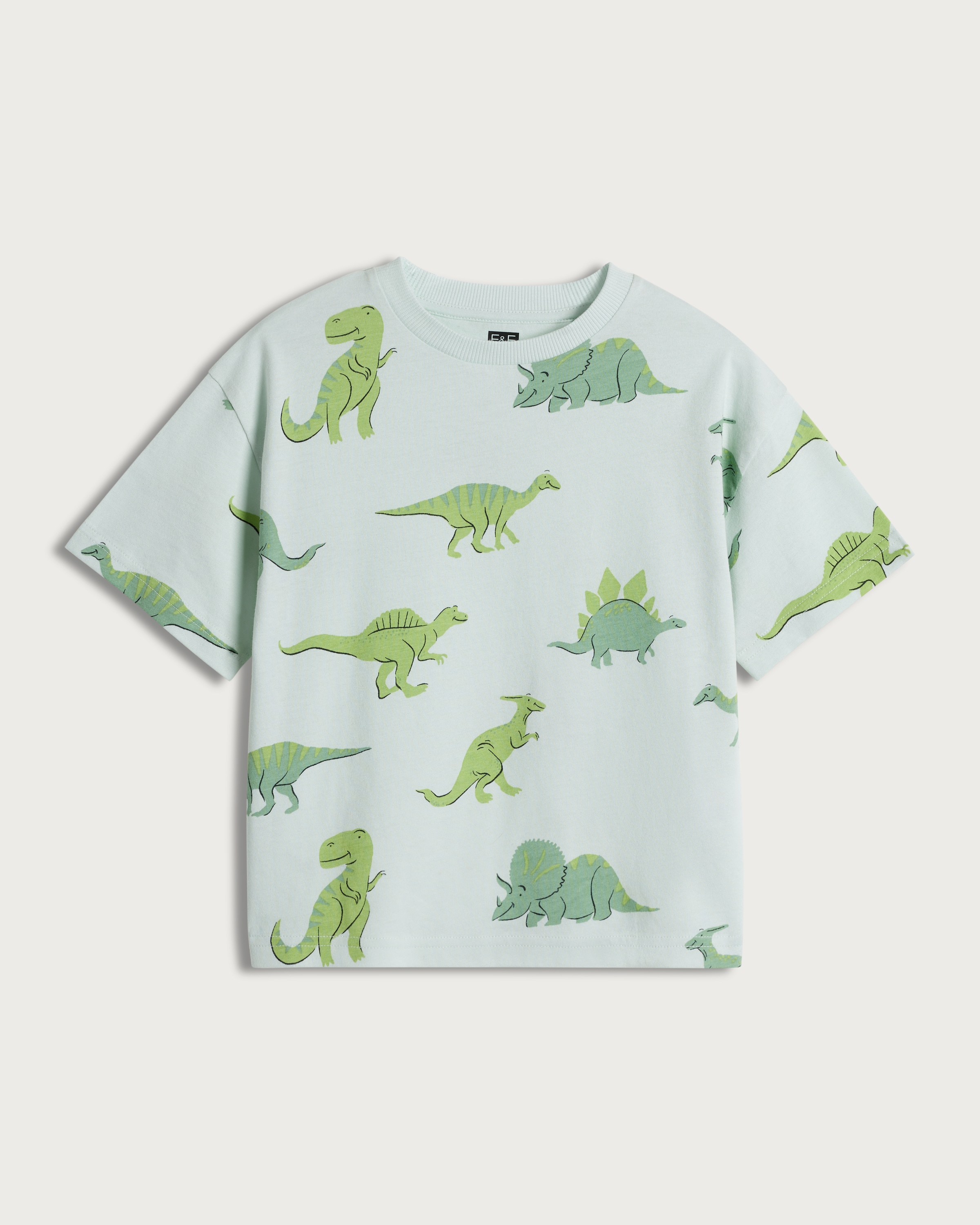 F&F Boys Pure Cotton Dinosaur Print Short Sleeved T-Shirt in Mint thumbnail 4