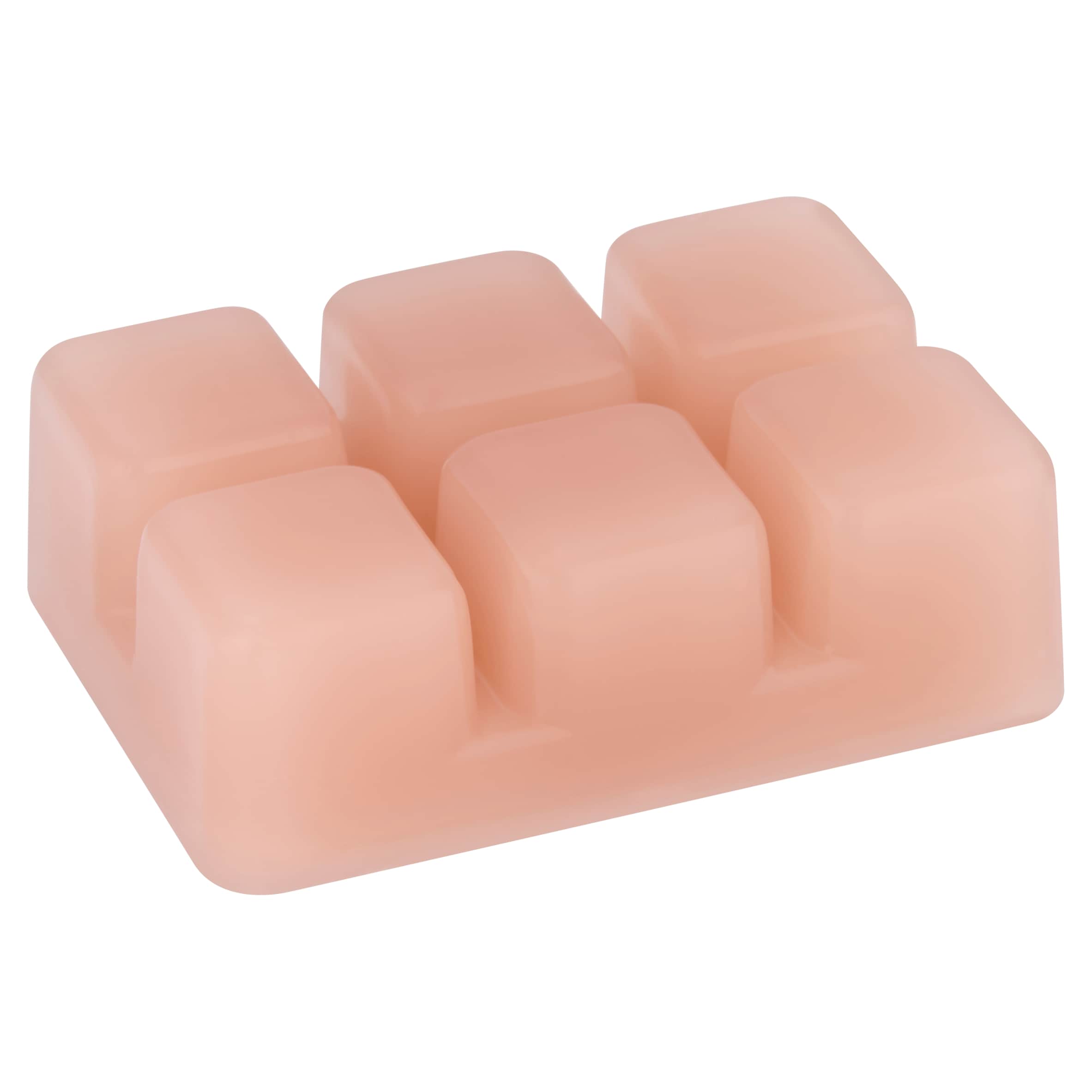 F&F Home Coconut Wax Melt Bar 60g thumbnail 2