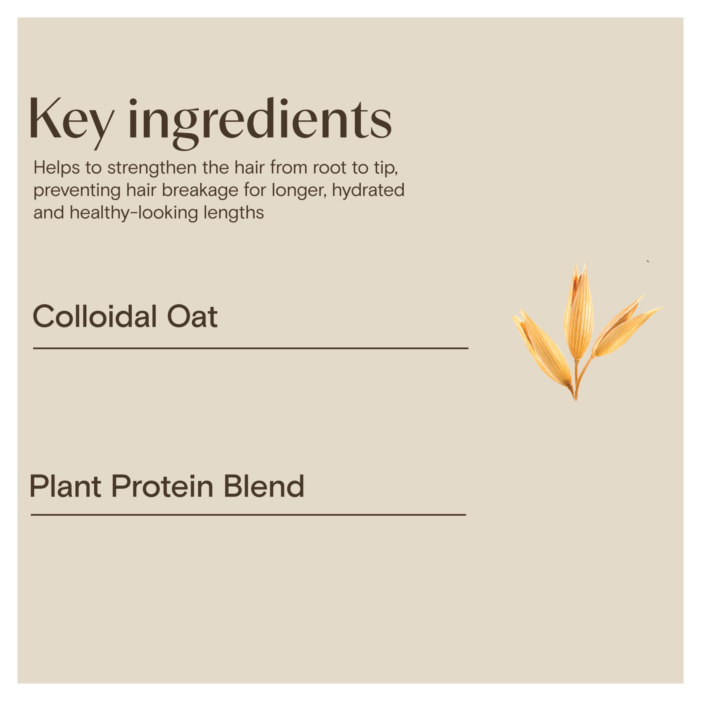 Aveeno Hair Strength + Length Plant Protein Blend Conditioner 300ml thumbnail 4