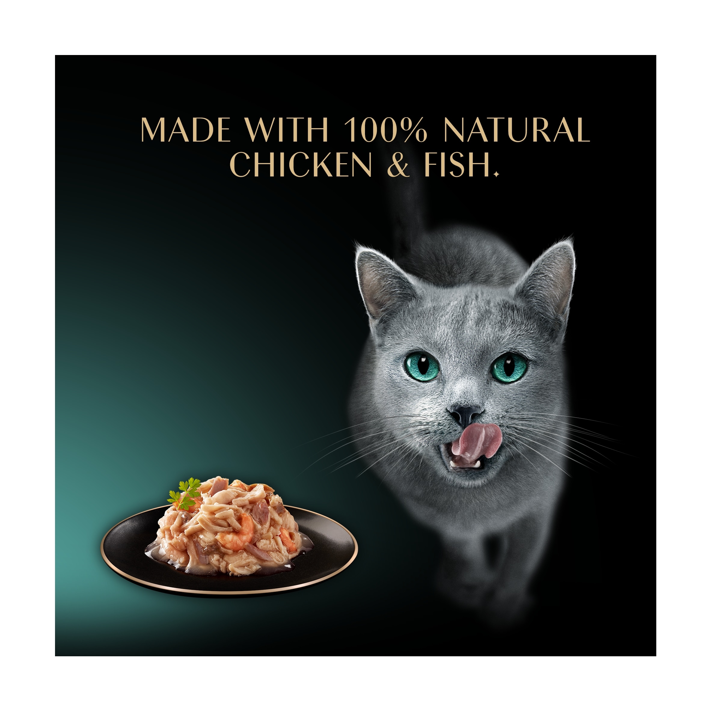 SHEBA Filets Adult Cat Food Tray with Chicken, Fish & Shrimp in Gravy 60g thumbnail 3