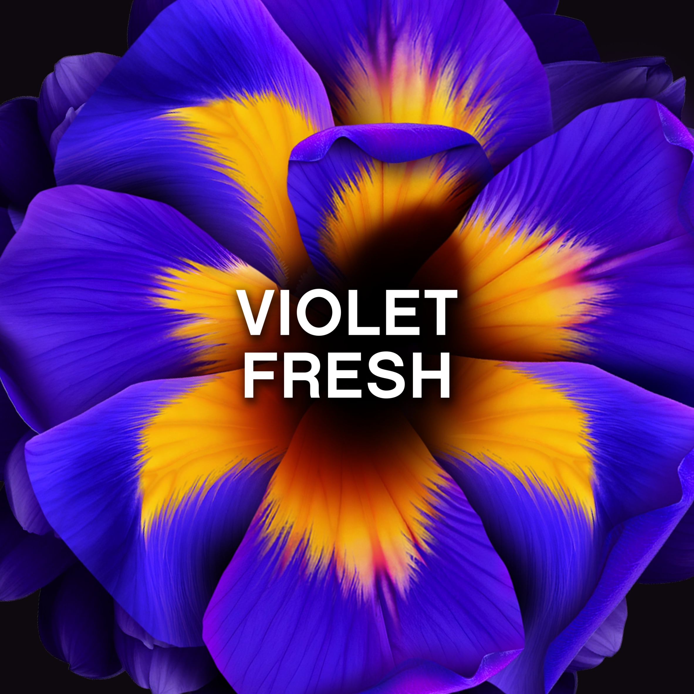 Lenor Unstoppables In-Wash Scent Booster Non Stop Freshness Violet Fresh 280g thumbnail 4