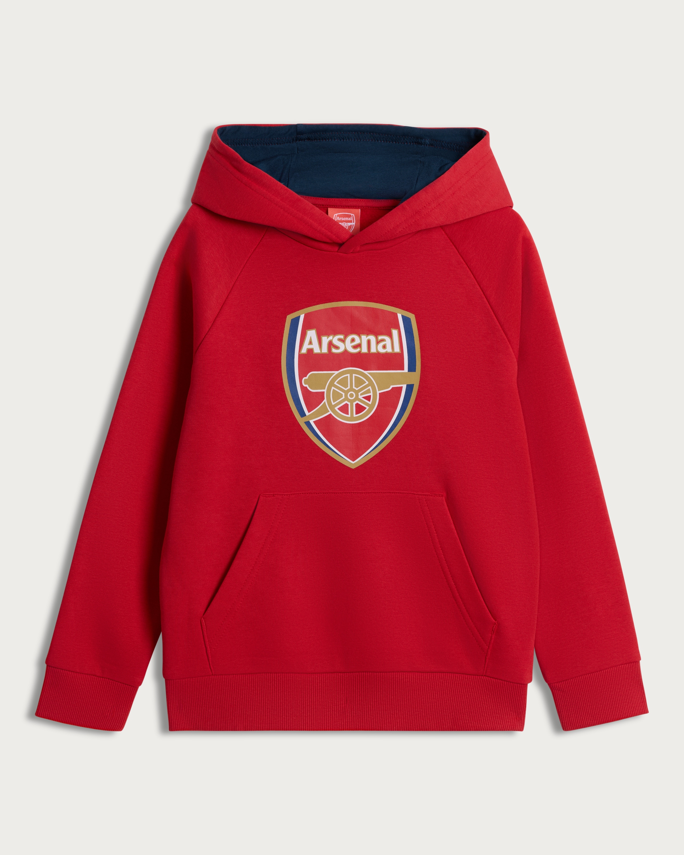 Arsenal Logo Cotton Rich Hoodie in Red thumbnail 4