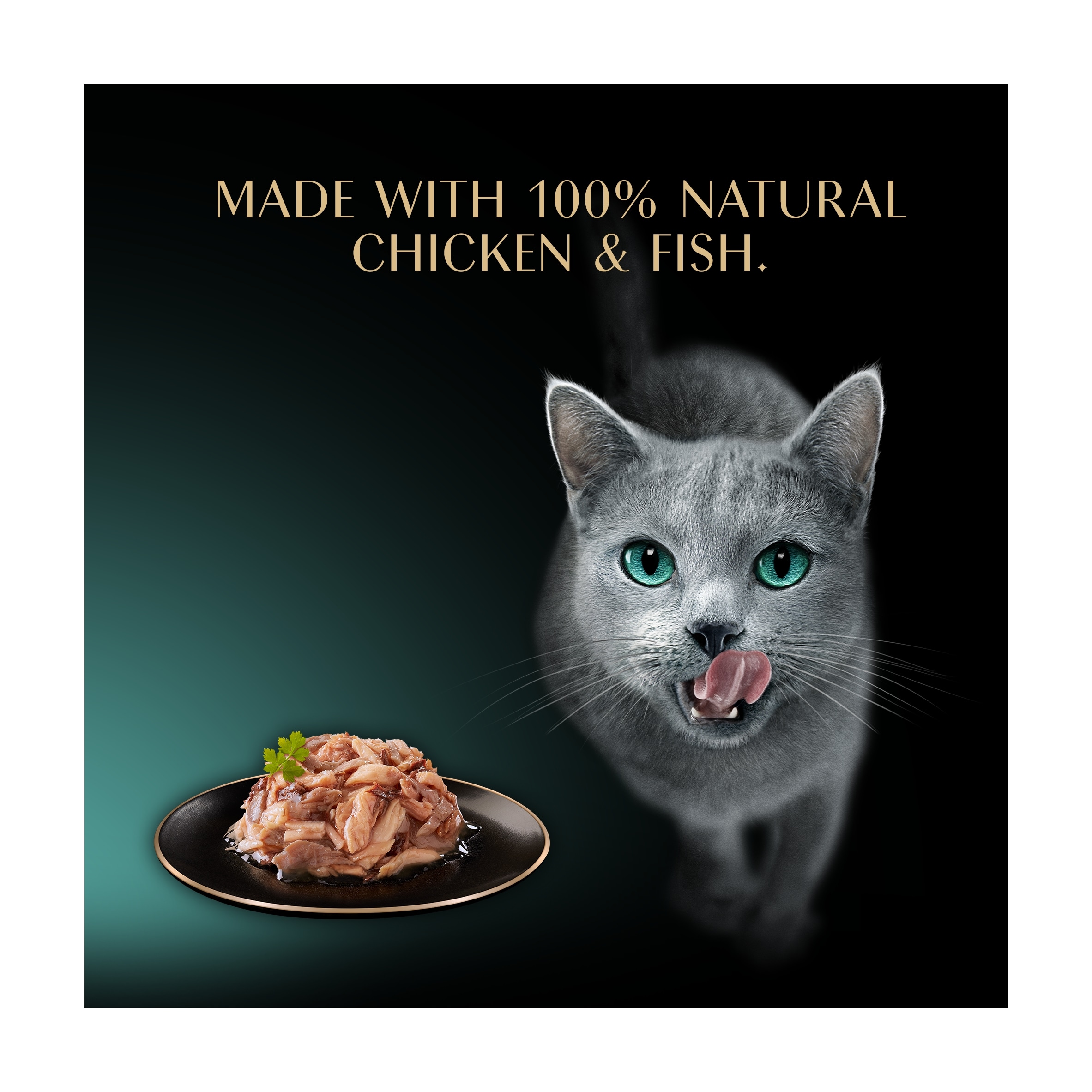 SHEBA Filets Adult Cat Food Tray with Chicken,Tuna,Poultry,Salmon 6 x 60g thumbnail 3