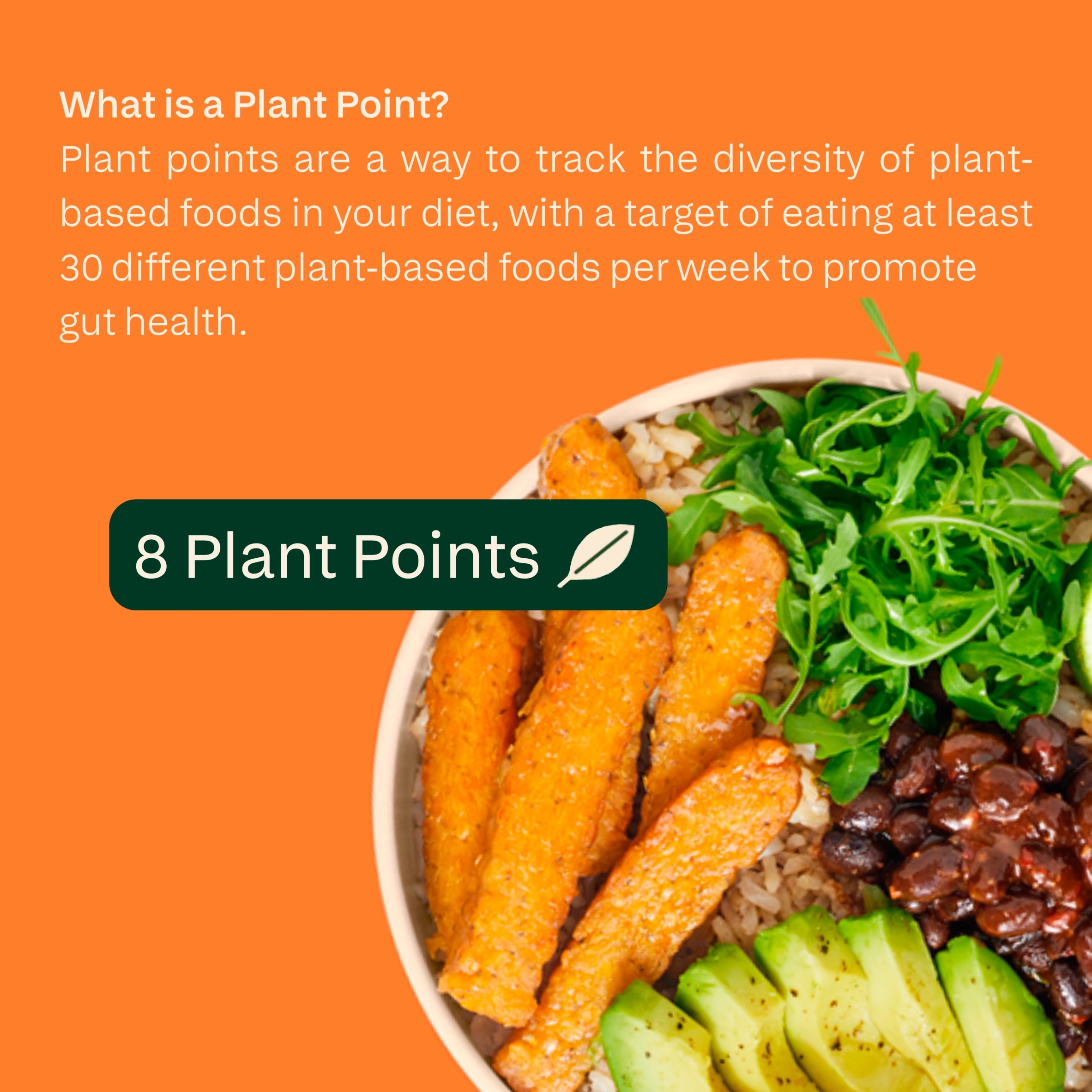 all plants Veggie Tempeh with golden lentils 180g thumbnail 4