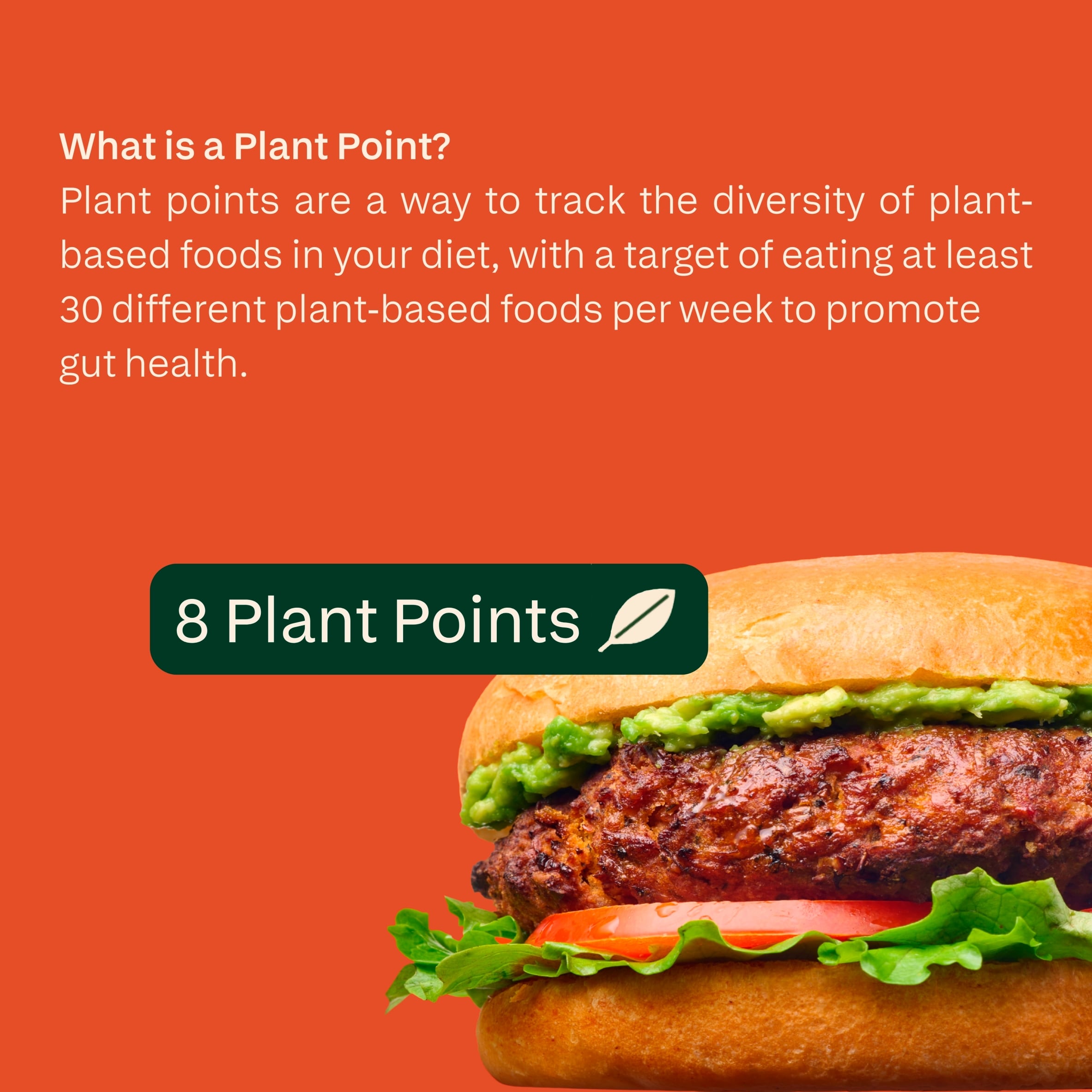 all plants Sweet Potato and Black Bean Protein Veggie Burger 180g thumbnail 4