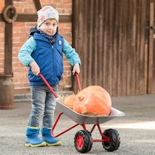 Rolly Childs Wheelbarrow with Double Front Wheel thumbnail 2